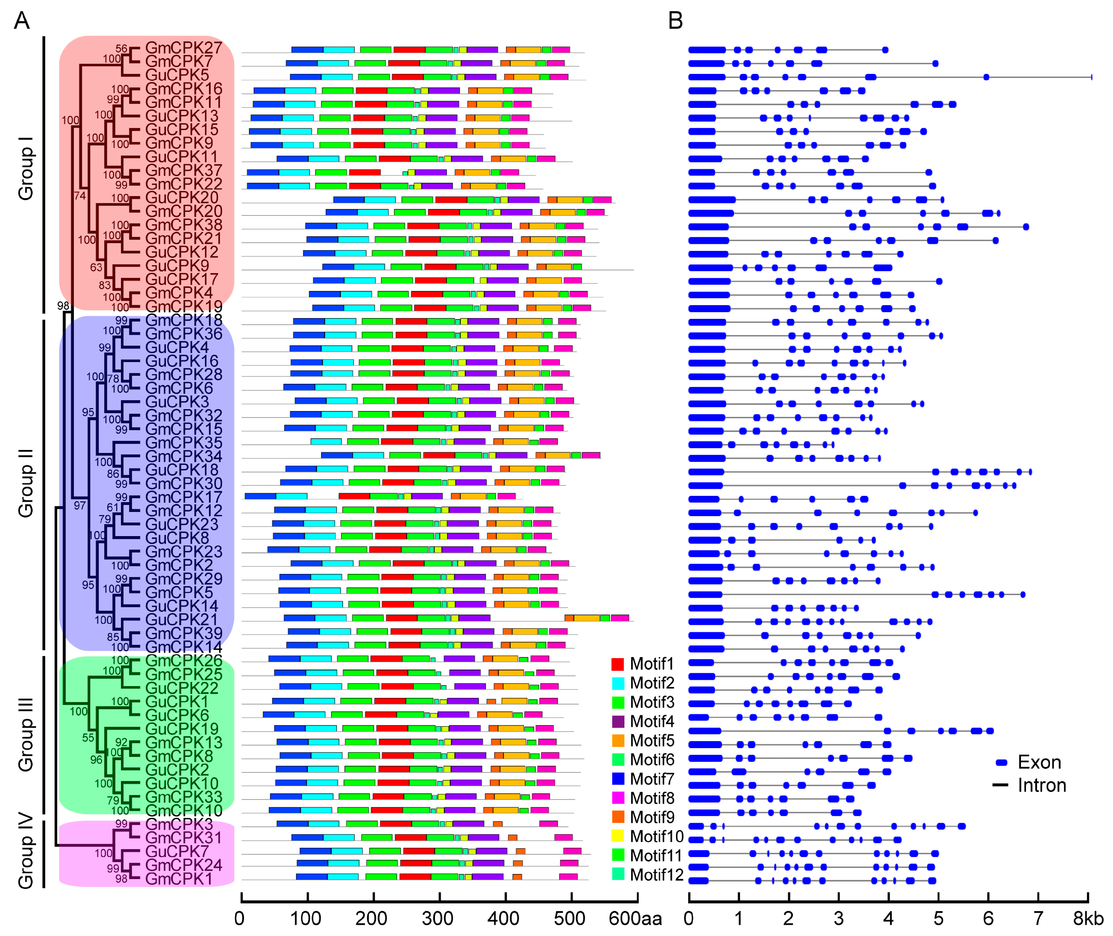 Molecules 24 01837 g004