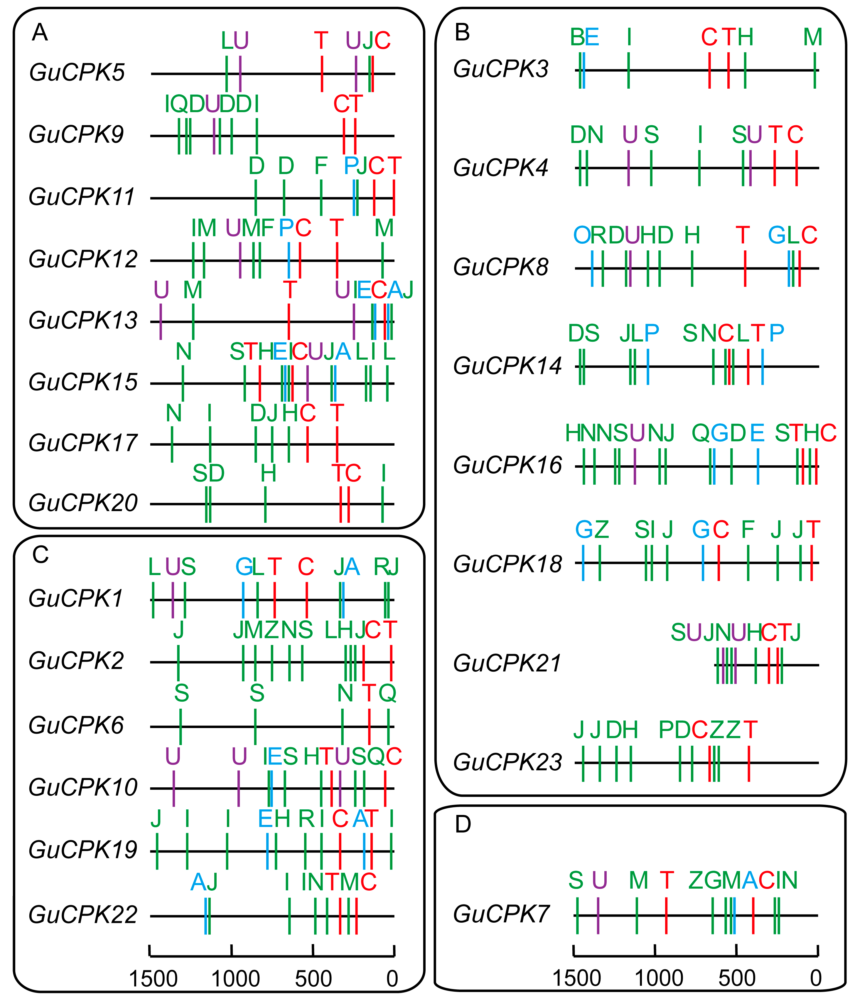 Molecules 24 01837 g006