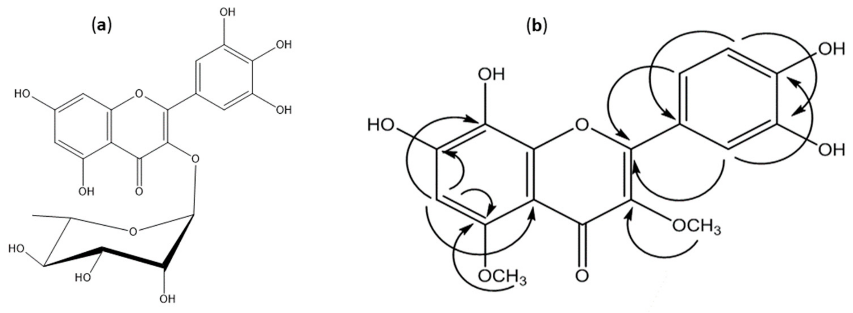 Molecules 24 01839 g001