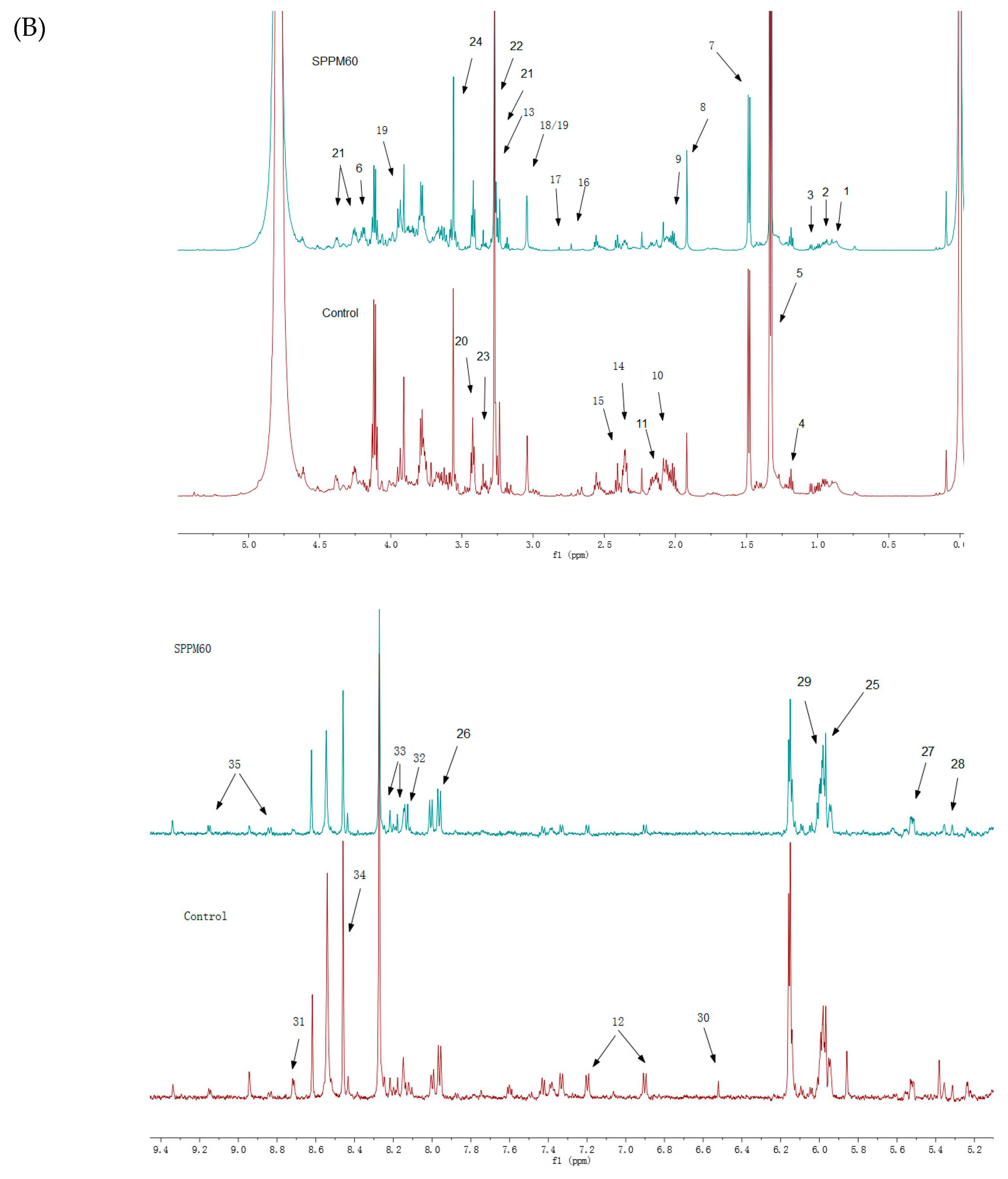 Molecules 24 01841 g003b Molecules 24 01841 g003b