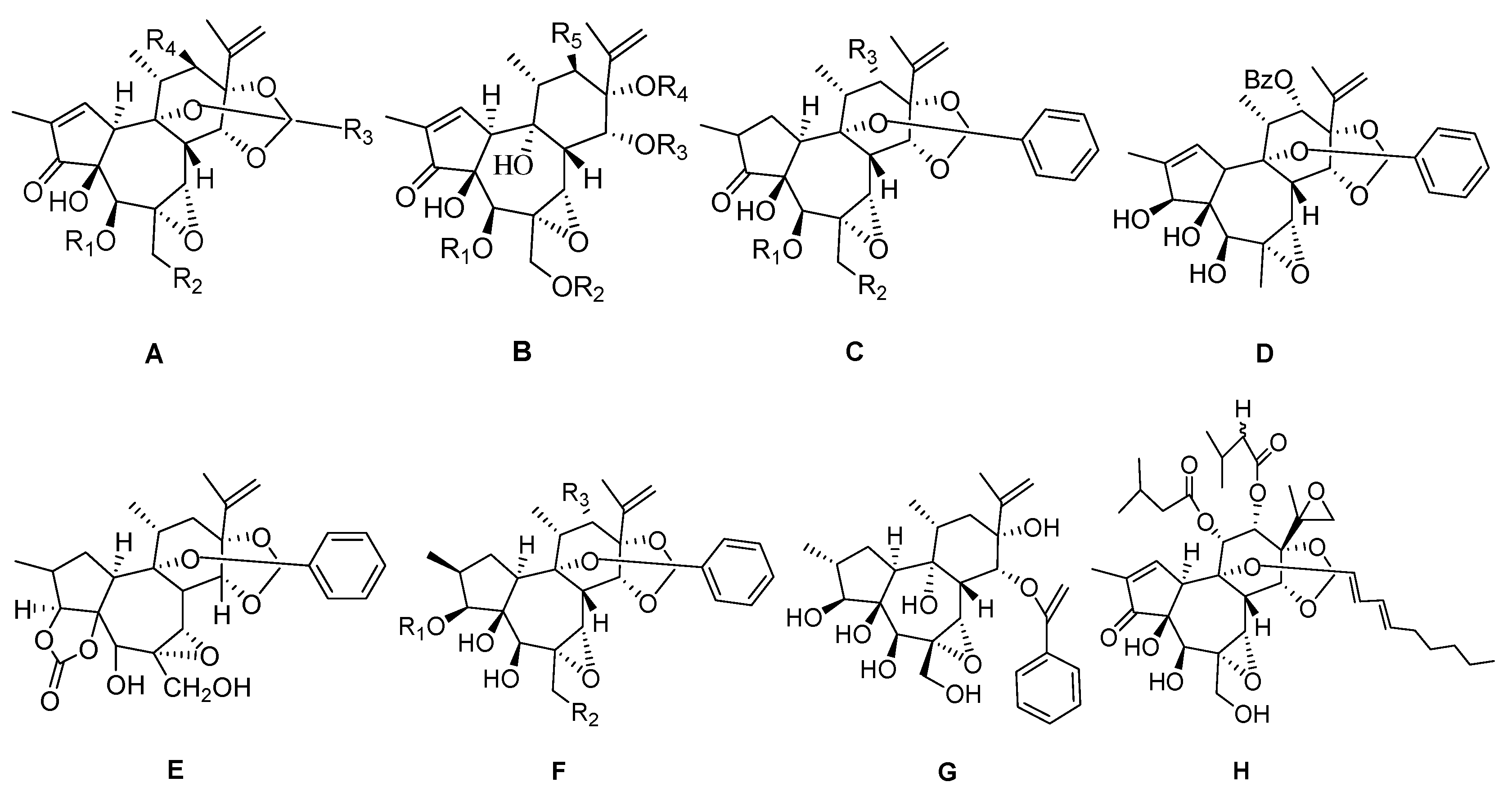 Molecules 24 01842 g002