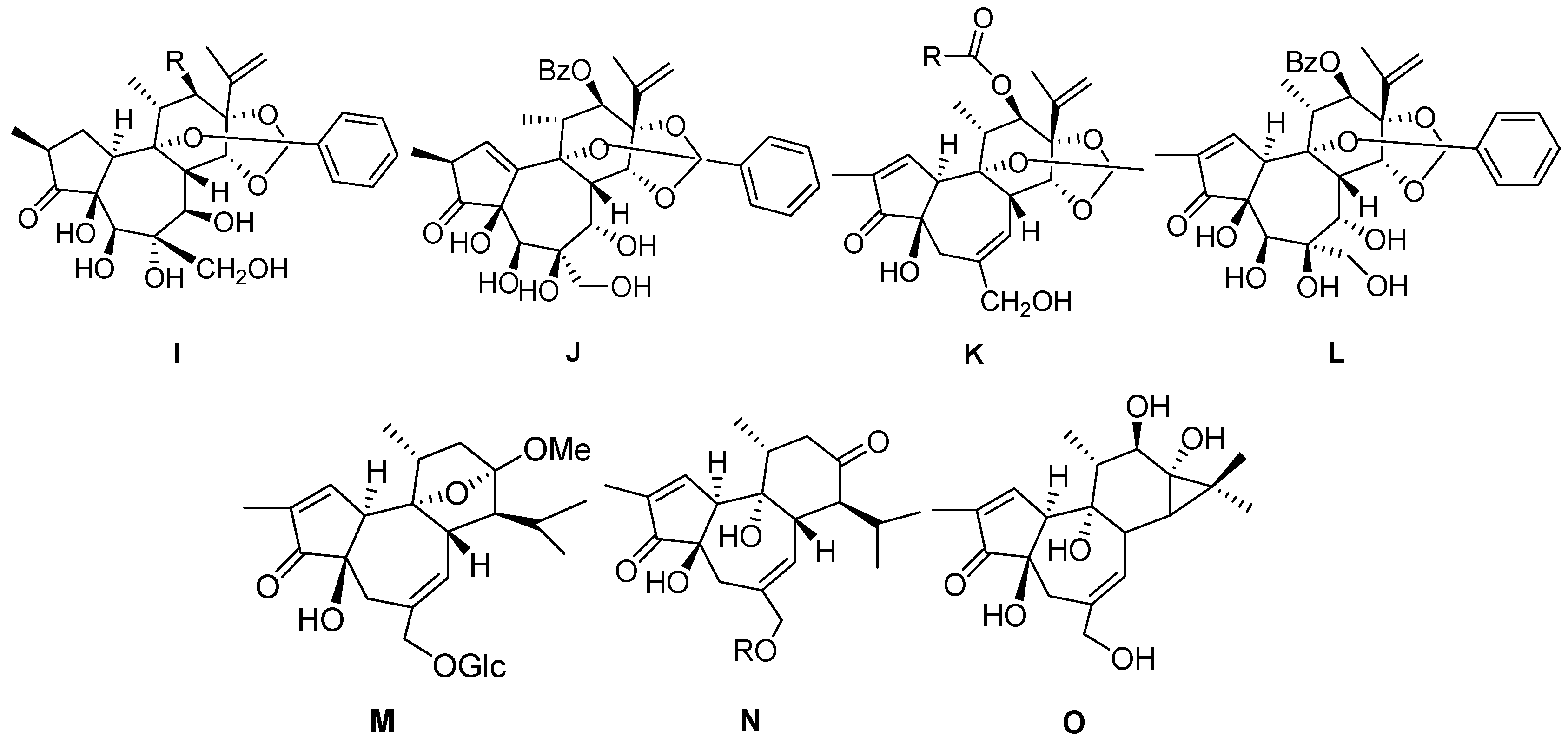 Molecules 24 01842 g003