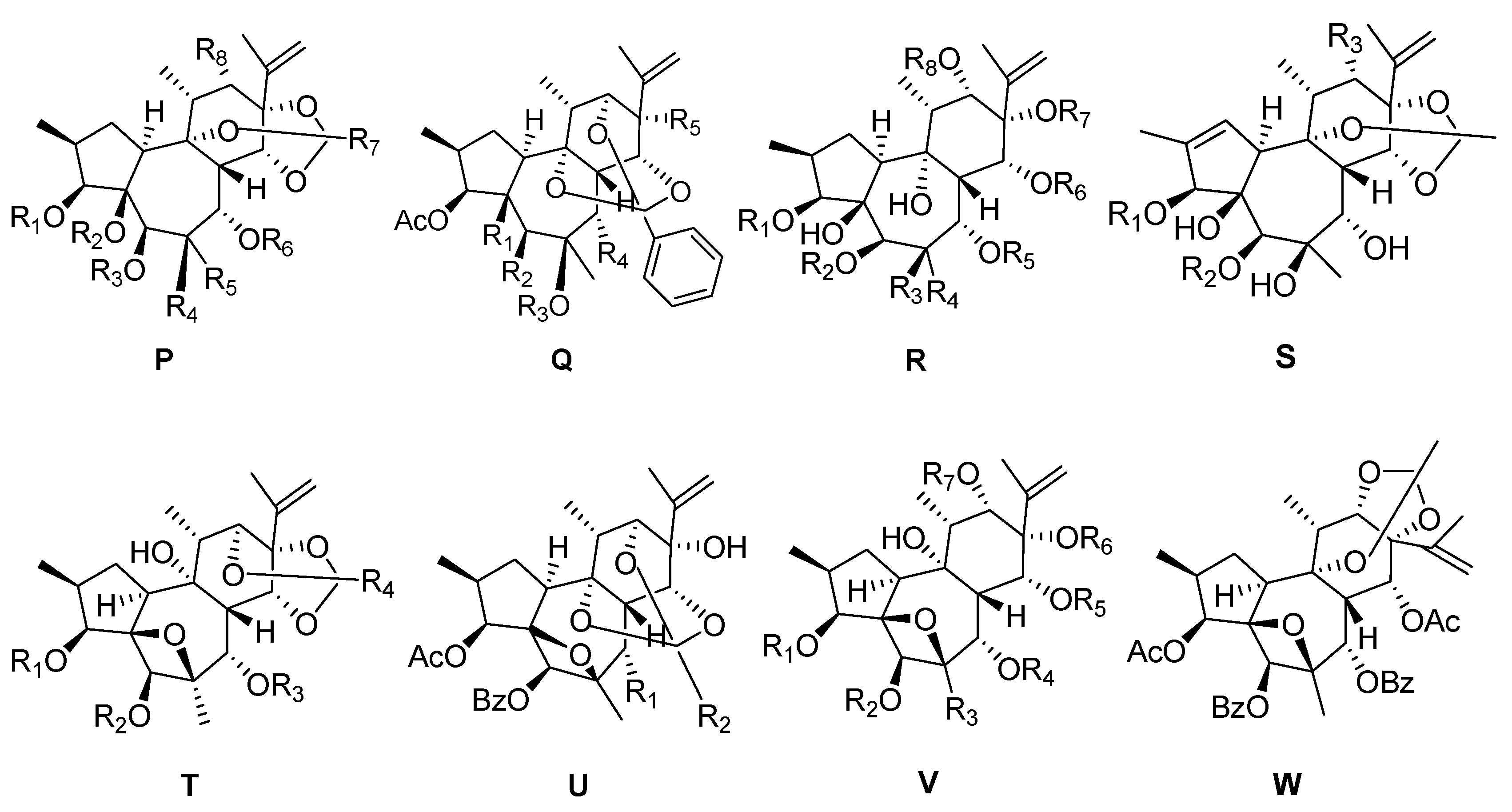 Molecules 24 01842 g004