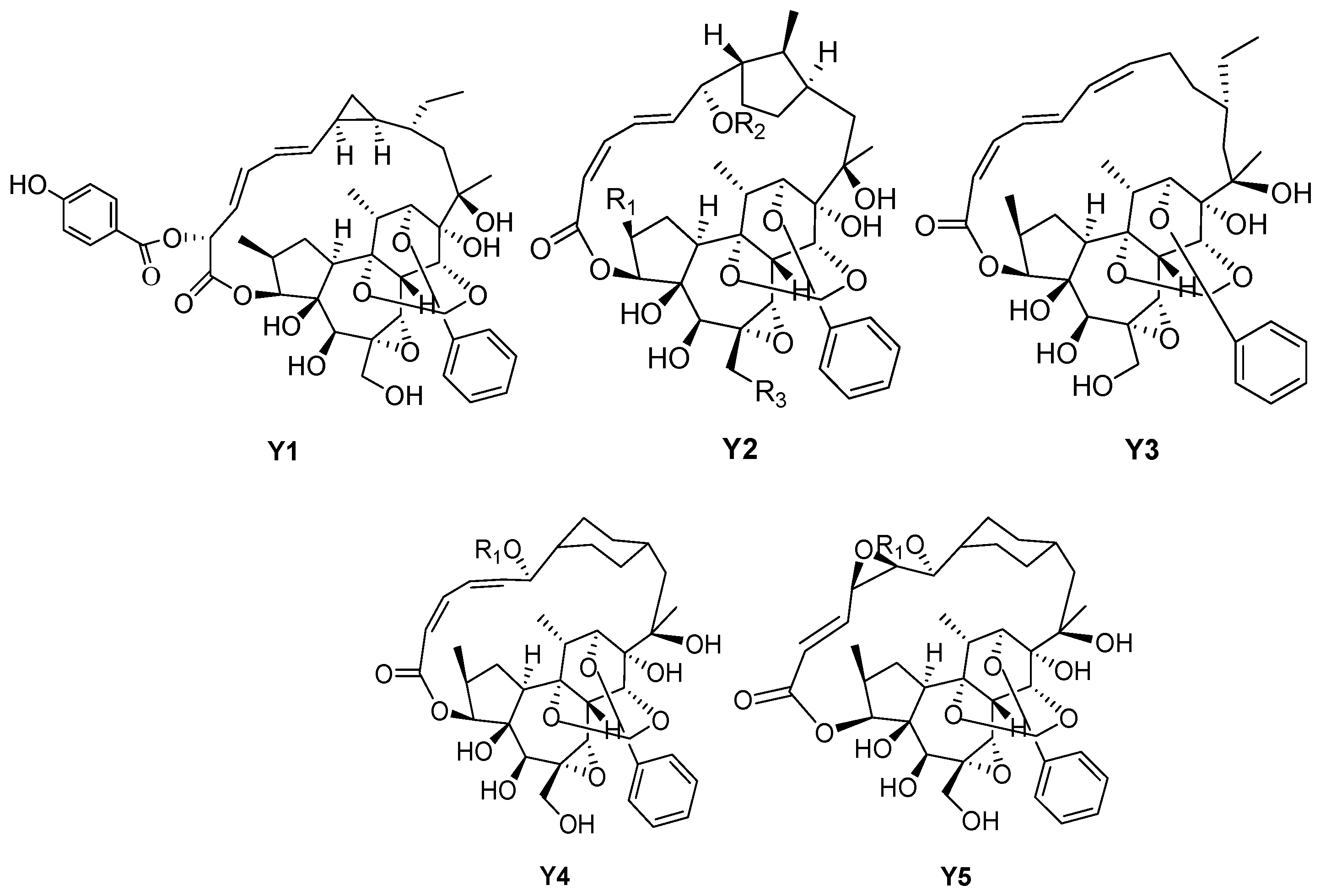 Molecules 24 01842 g006