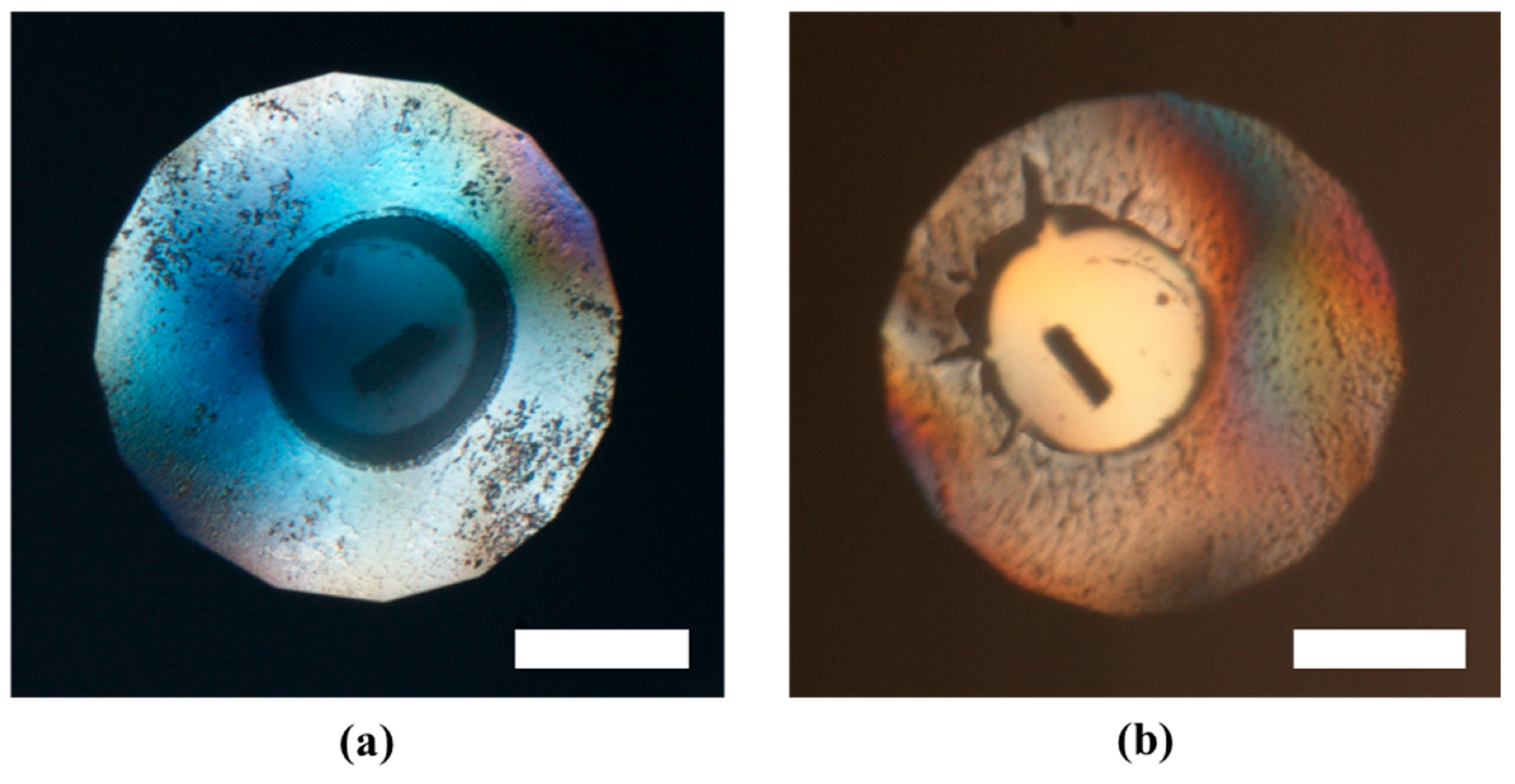 Molecules 24 01843 g0a3 Molecules 24 01843 g0a3