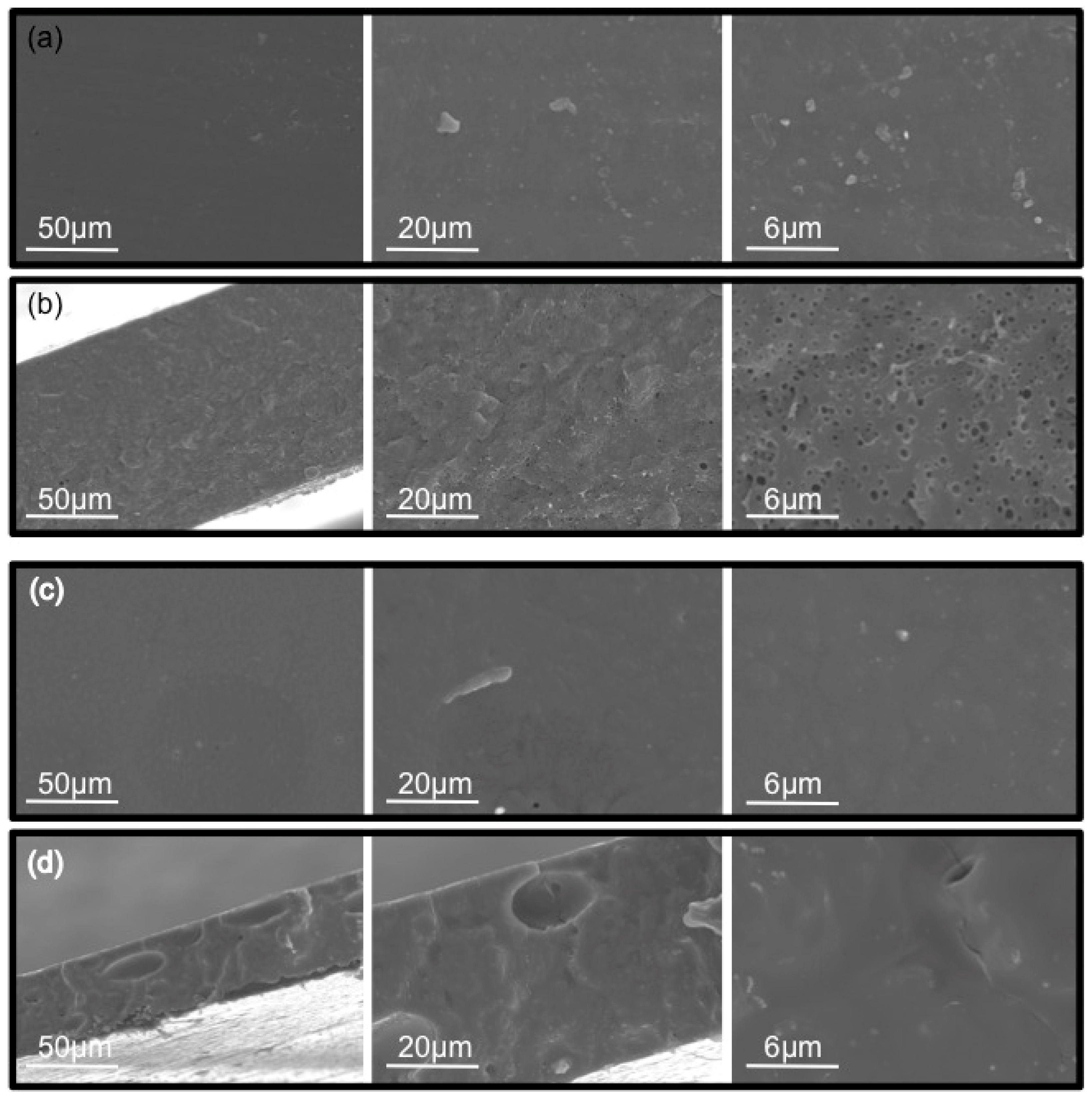 Molecules 24 01845 g002 Molecules 24 01845 g002