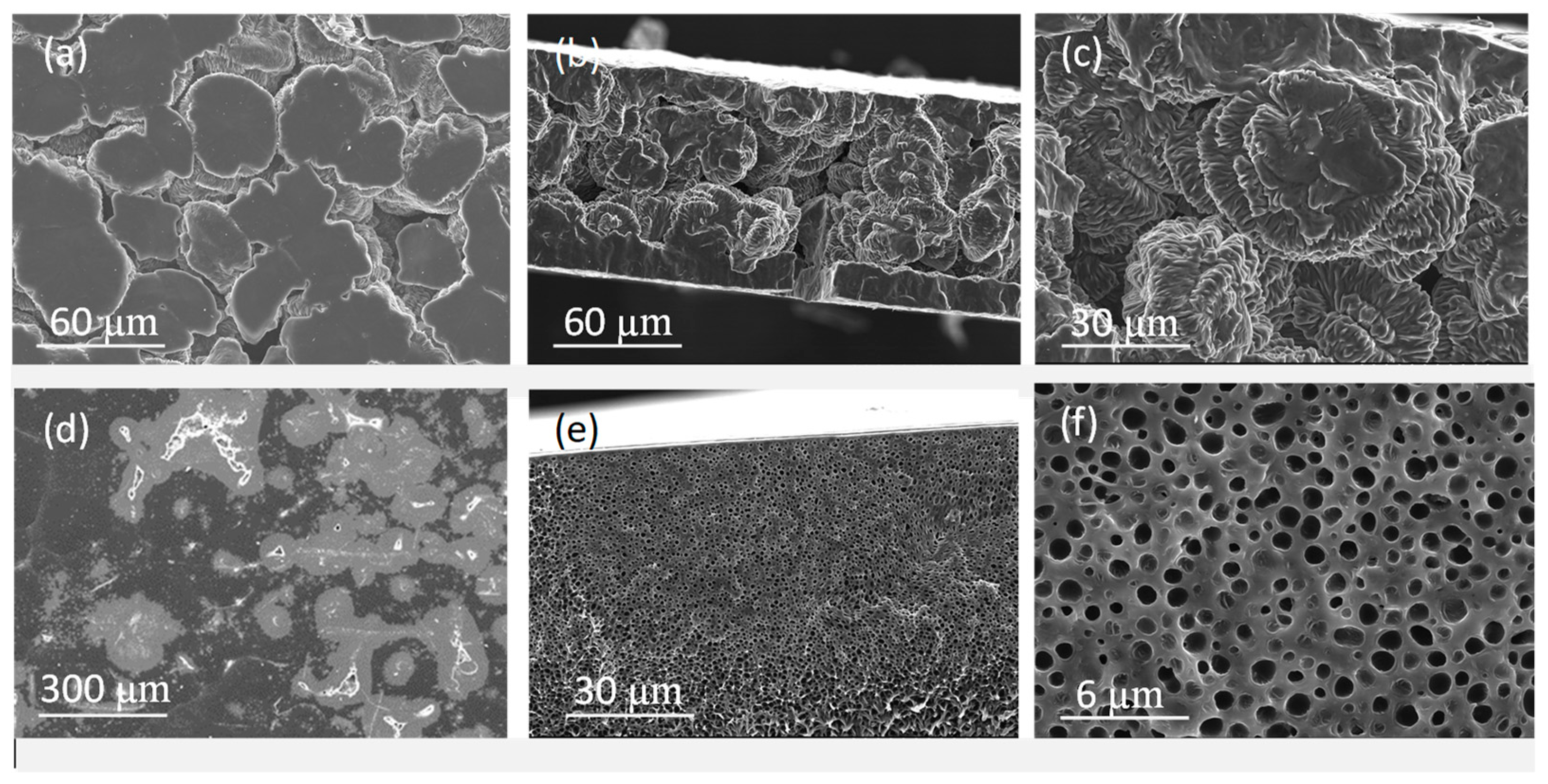 Molecules 24 01845 g003 Molecules 24 01845 g003