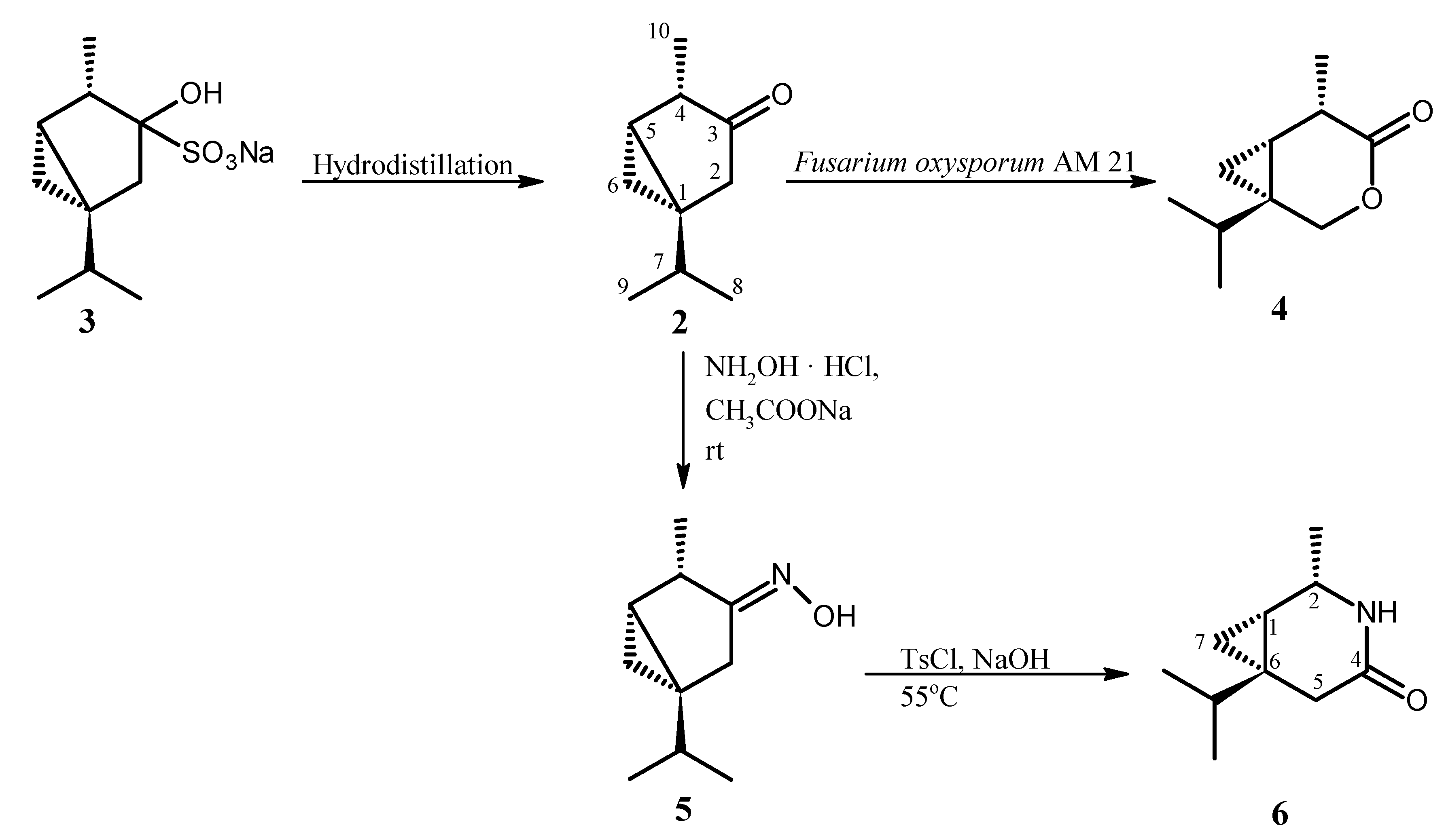Molecules 24 01847 sch001 Molecules 24 01847 sch001