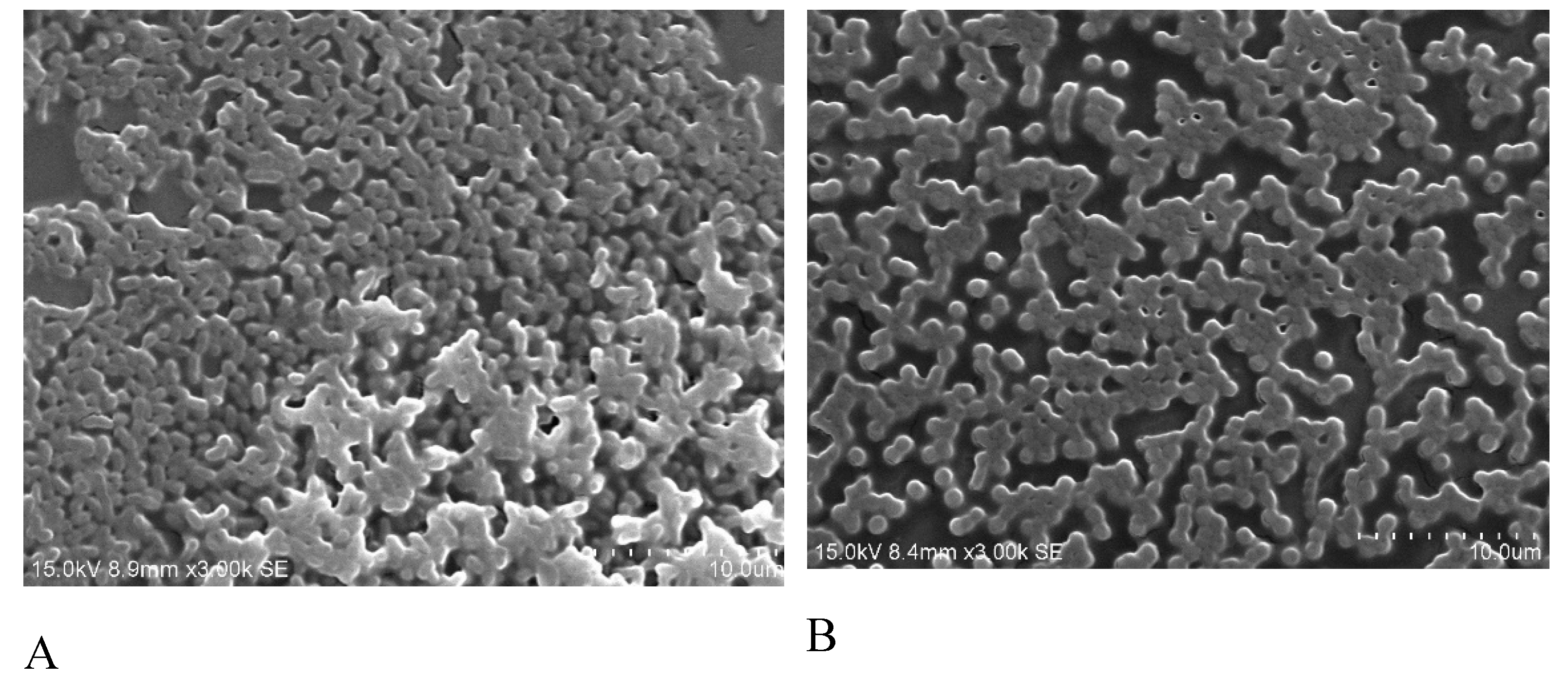 Molecules 24 01849 g003