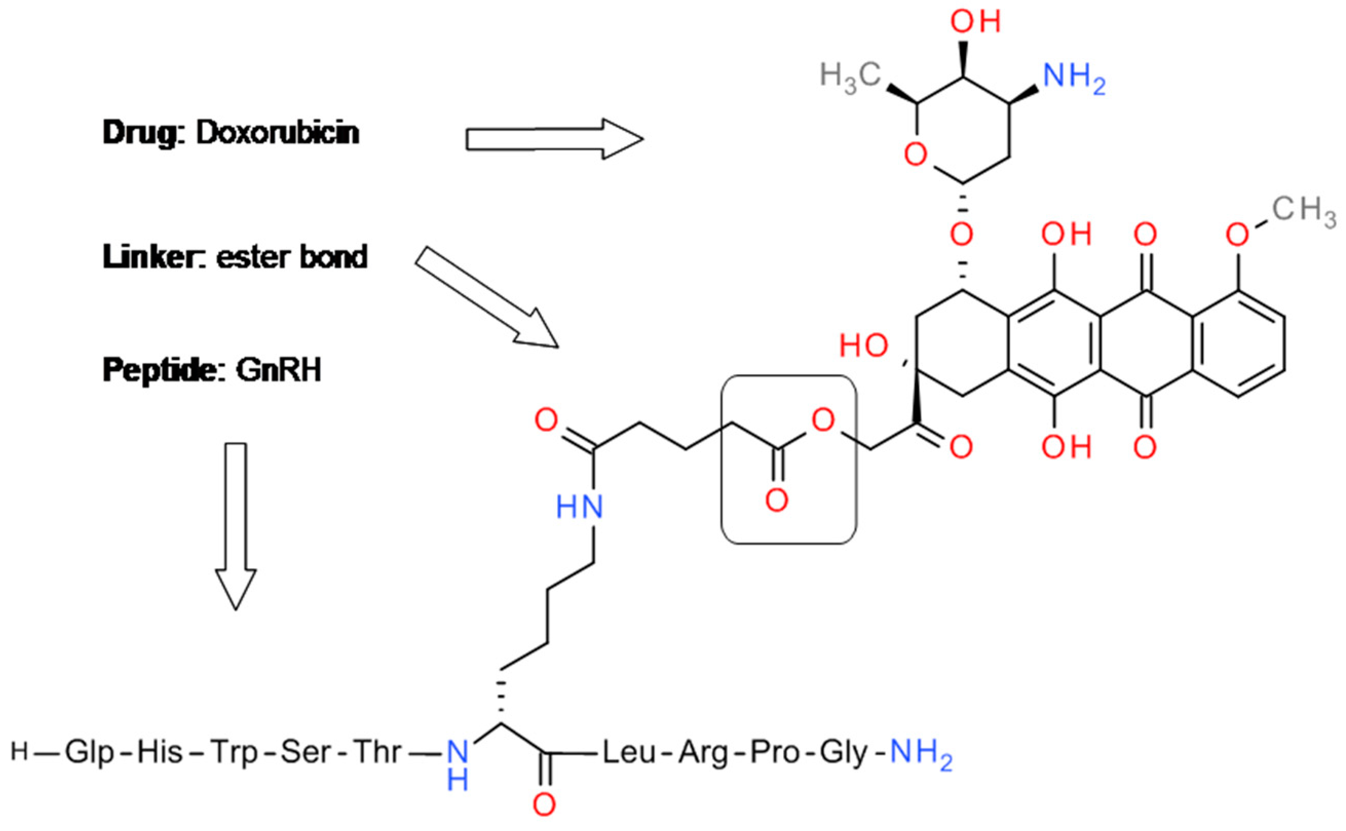 Molecules 24 01855 g002 Molecules 24 01855 g002