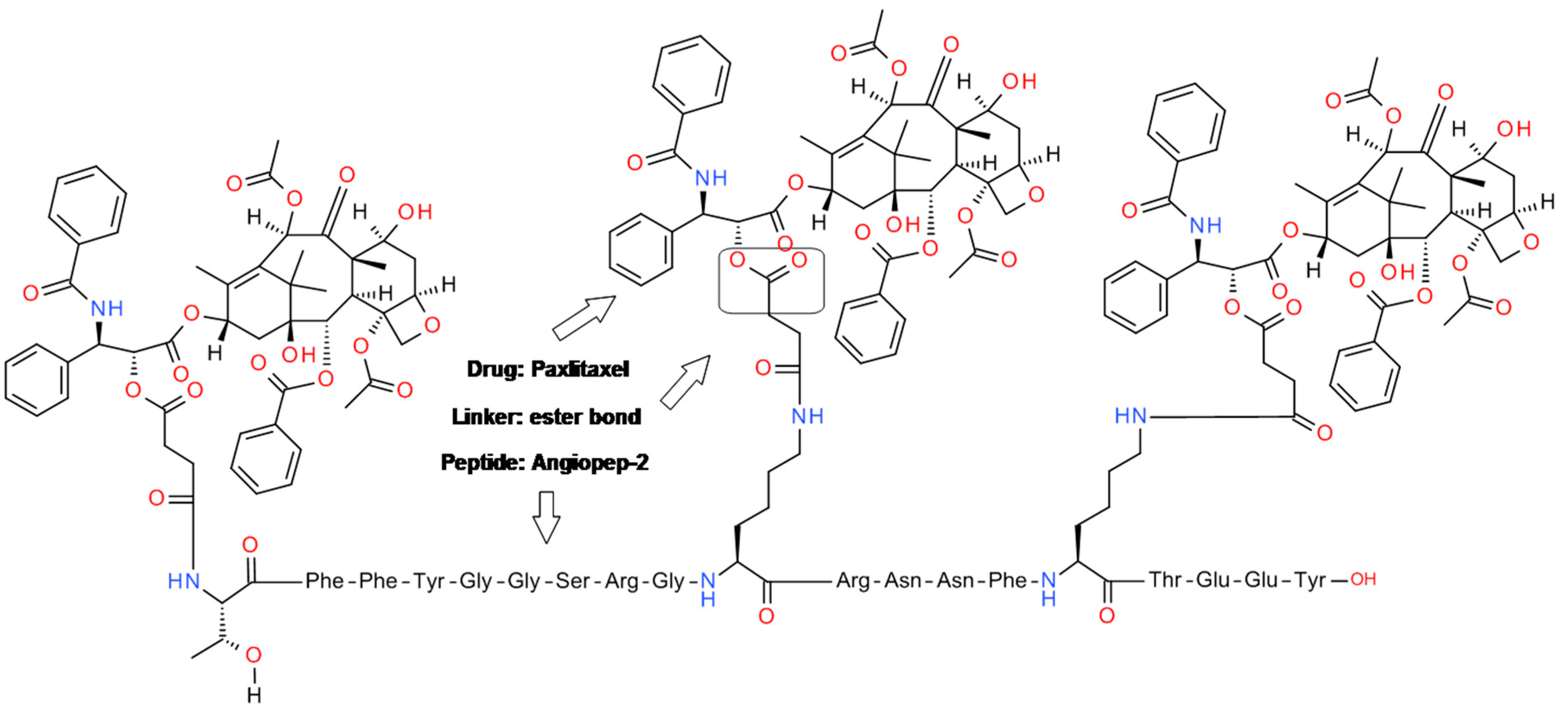Molecules 24 01855 g003 Molecules 24 01855 g003