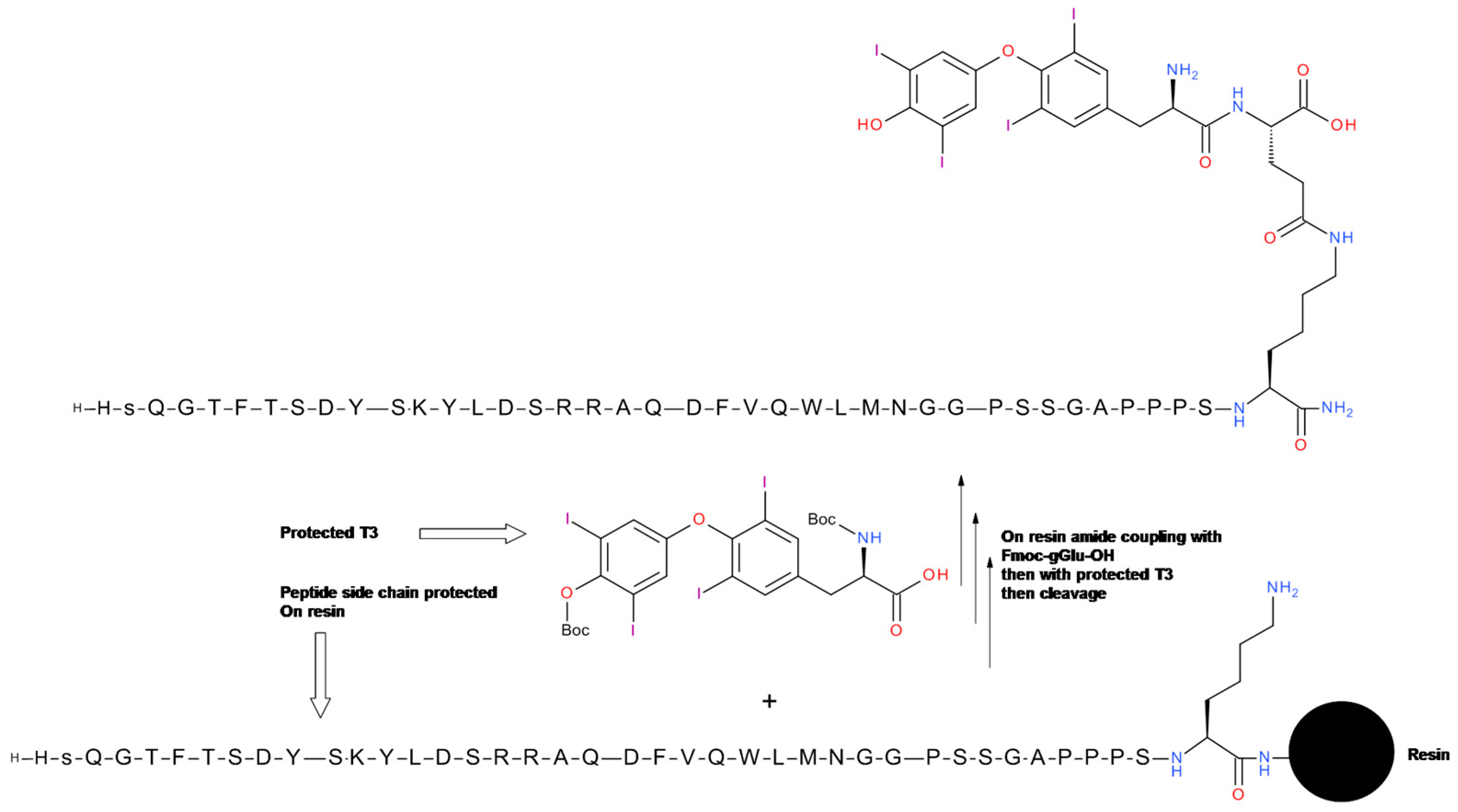 Molecules Free Full Text Peptide Conjugates With Small Molecules Designed To Enhance Efficacy And Safety Html