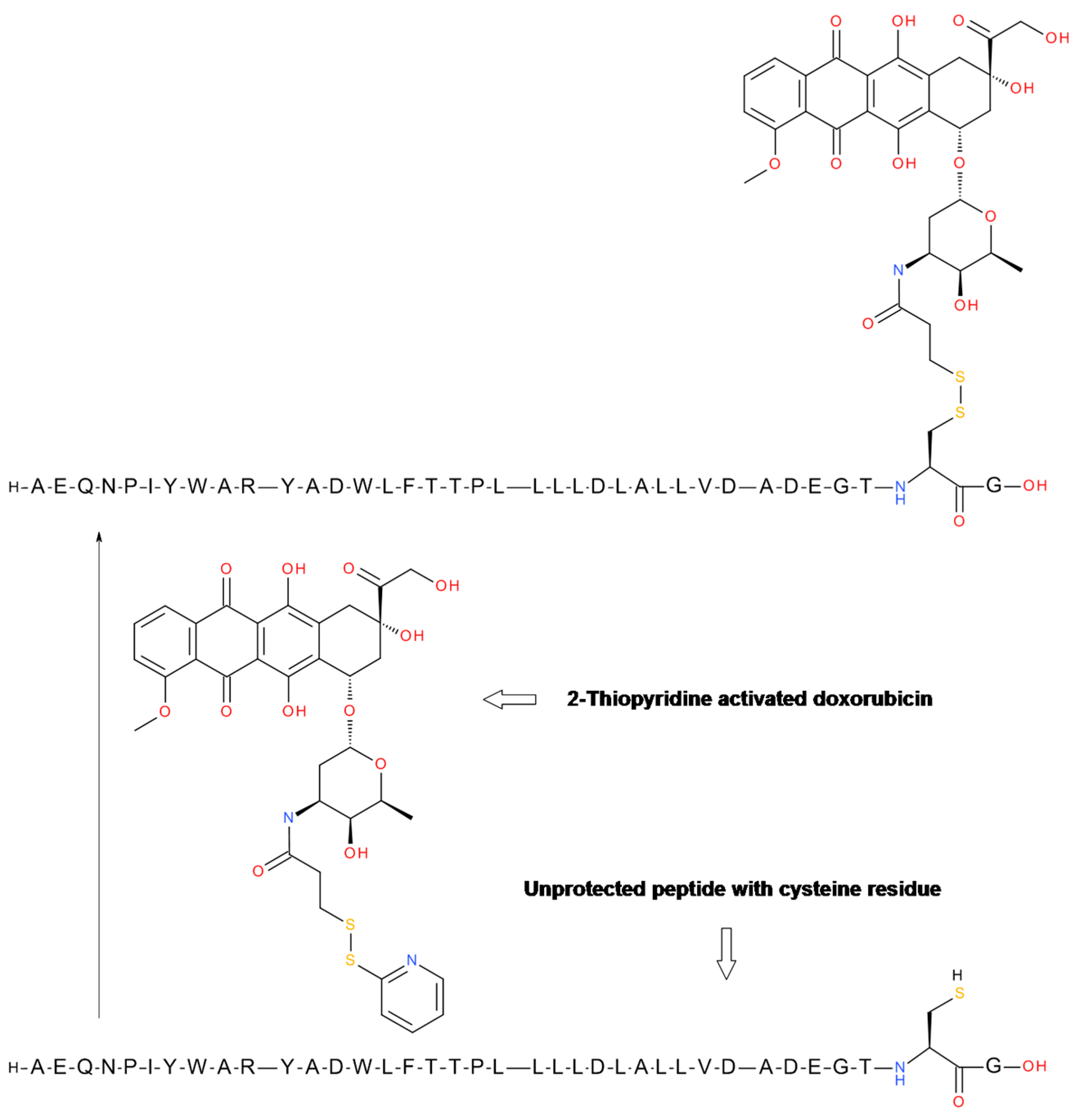 Molecules Free Full Text Peptide Conjugates With Small Molecules Designed To Enhance Efficacy And Safety Html