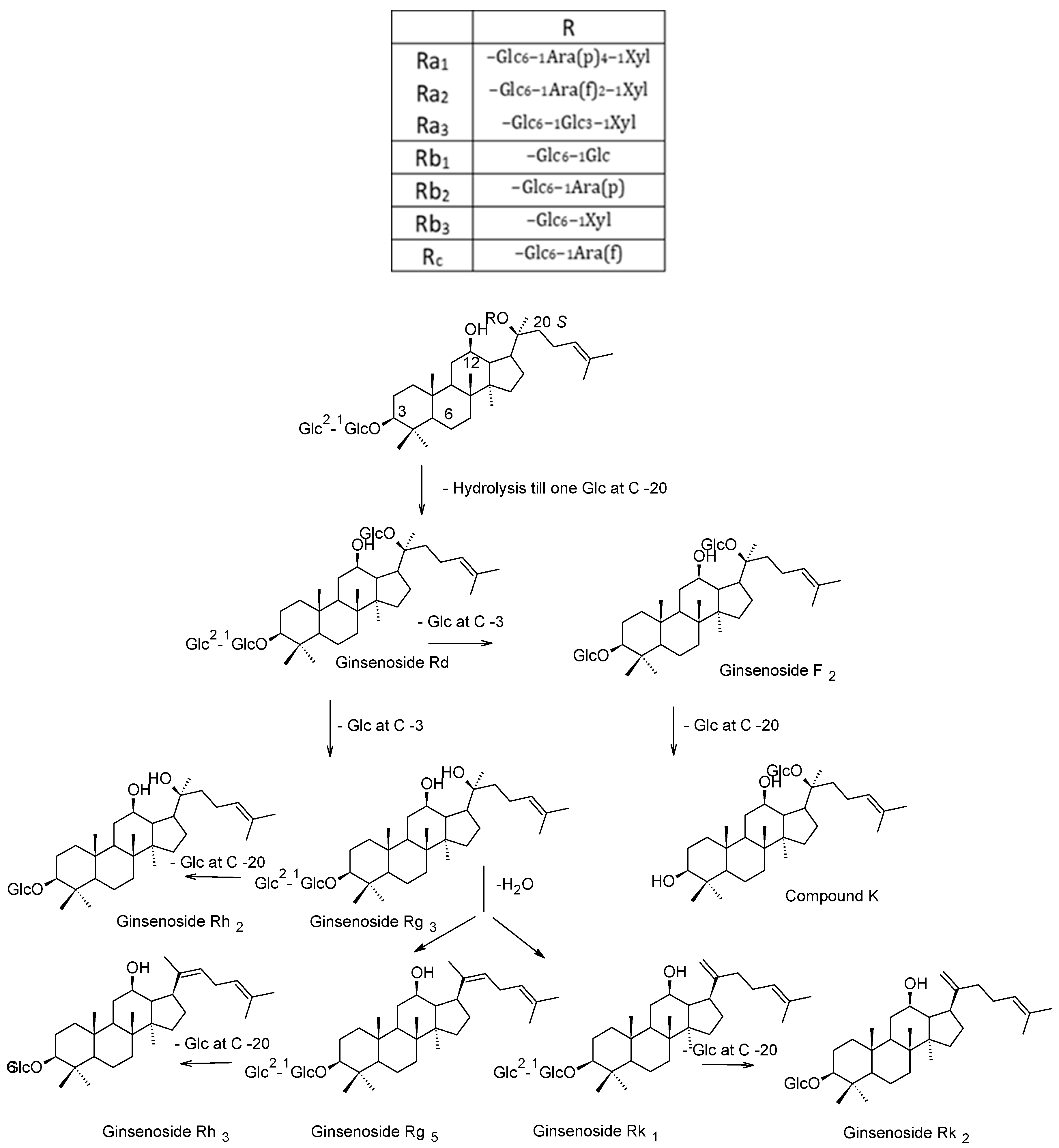 Molecules 24 01856 g002