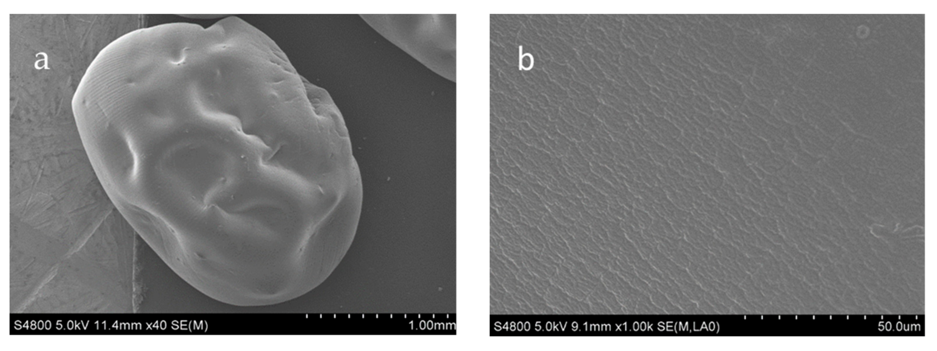 Molecules 24 01858 g002a