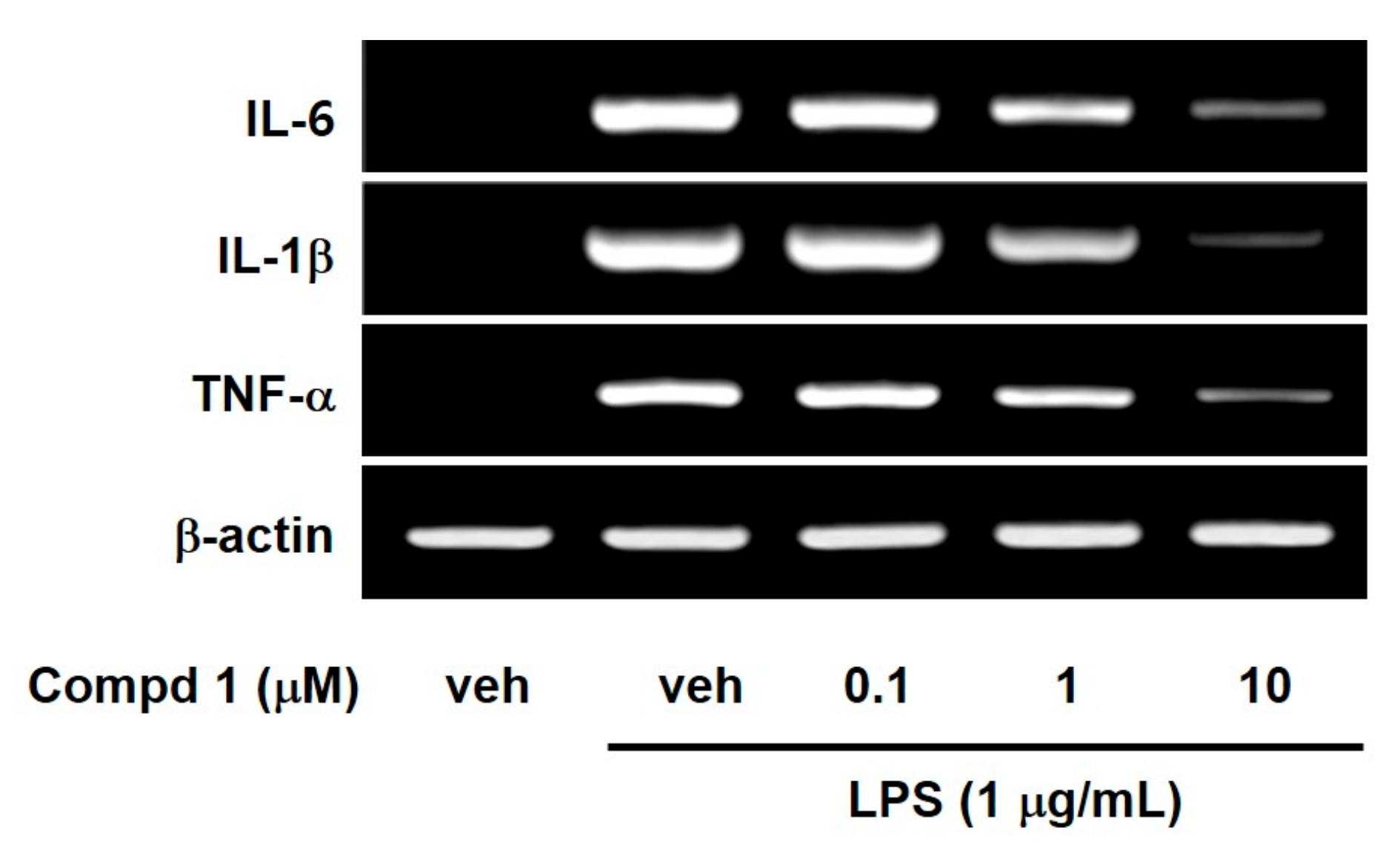 Molecules 24 01859 g004