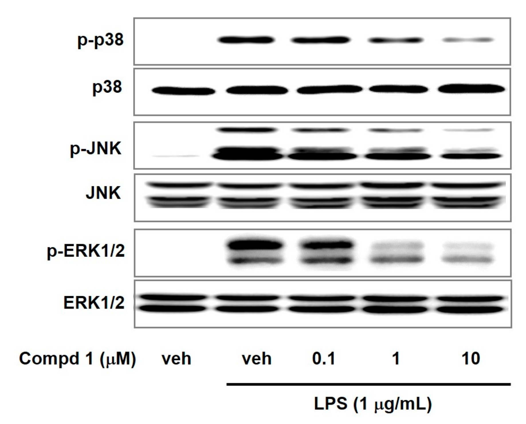 Molecules 24 01859 g005