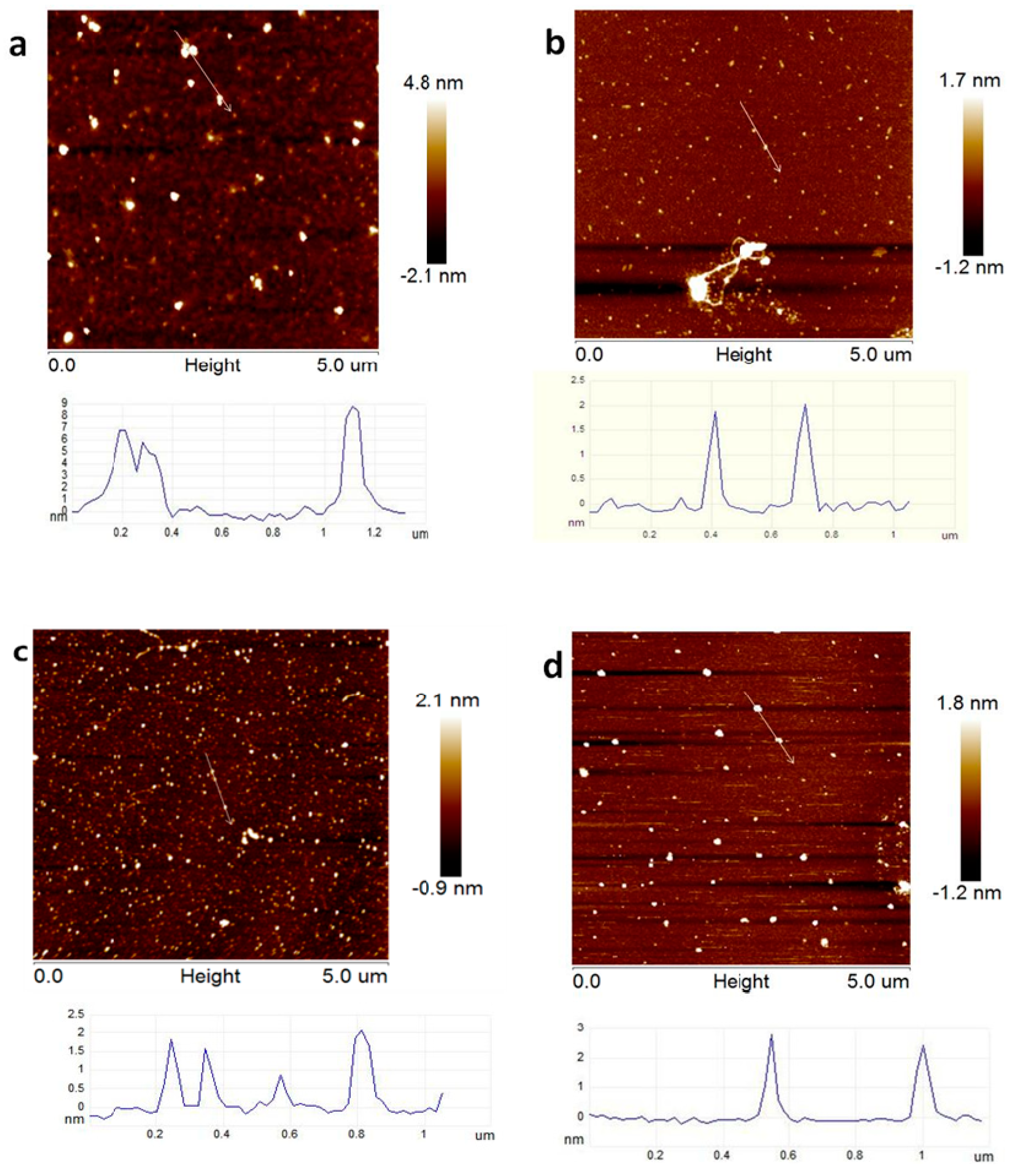 Molecules 24 01860 g002