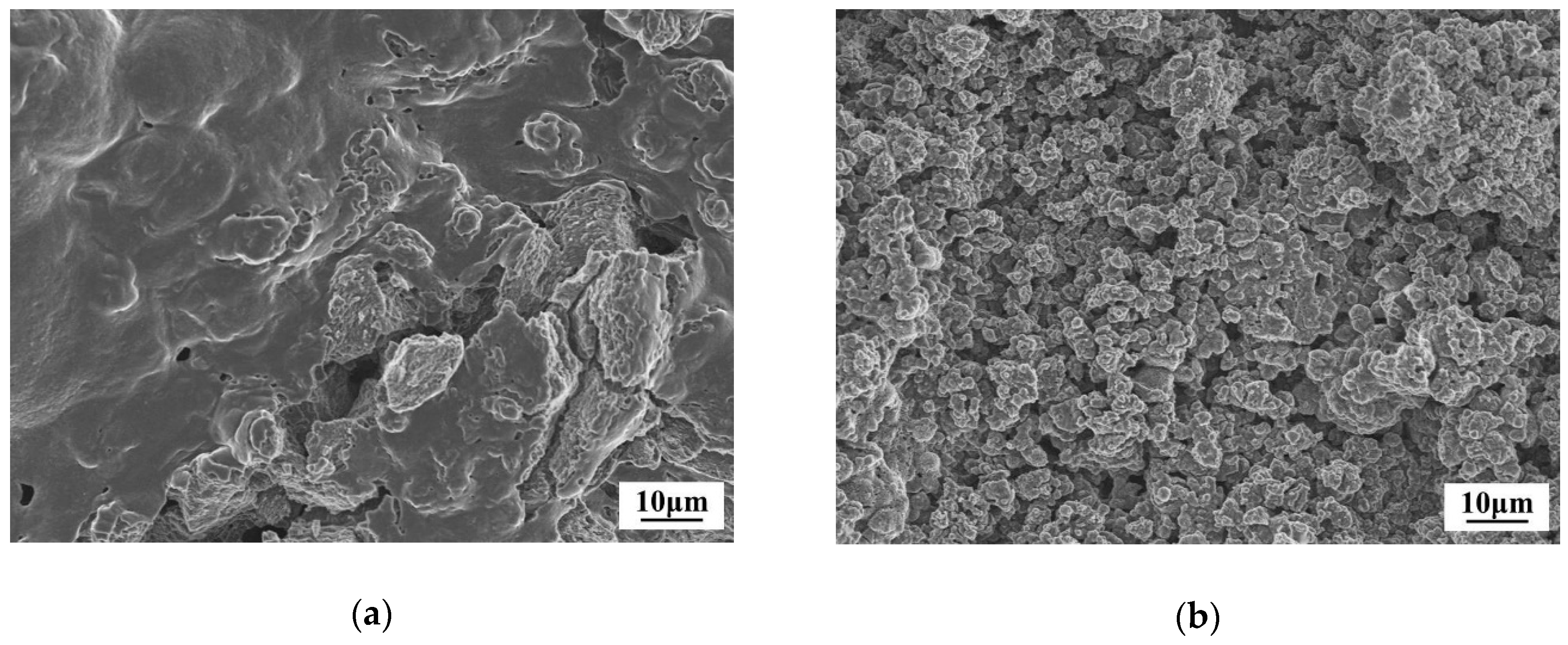Molecules 24 01861 g001a