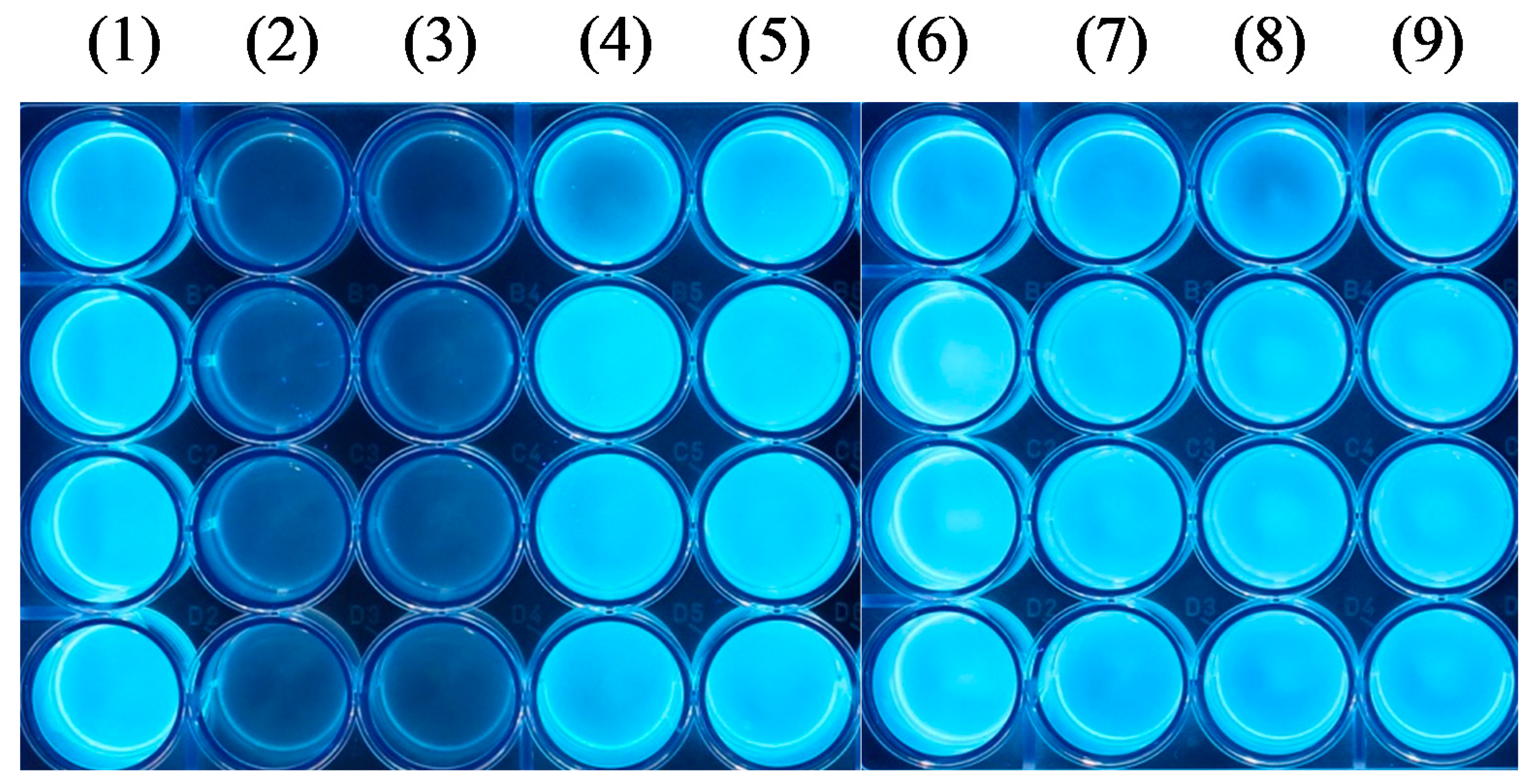 Molecules 24 01865 g007 Molecules 24 01865 g007