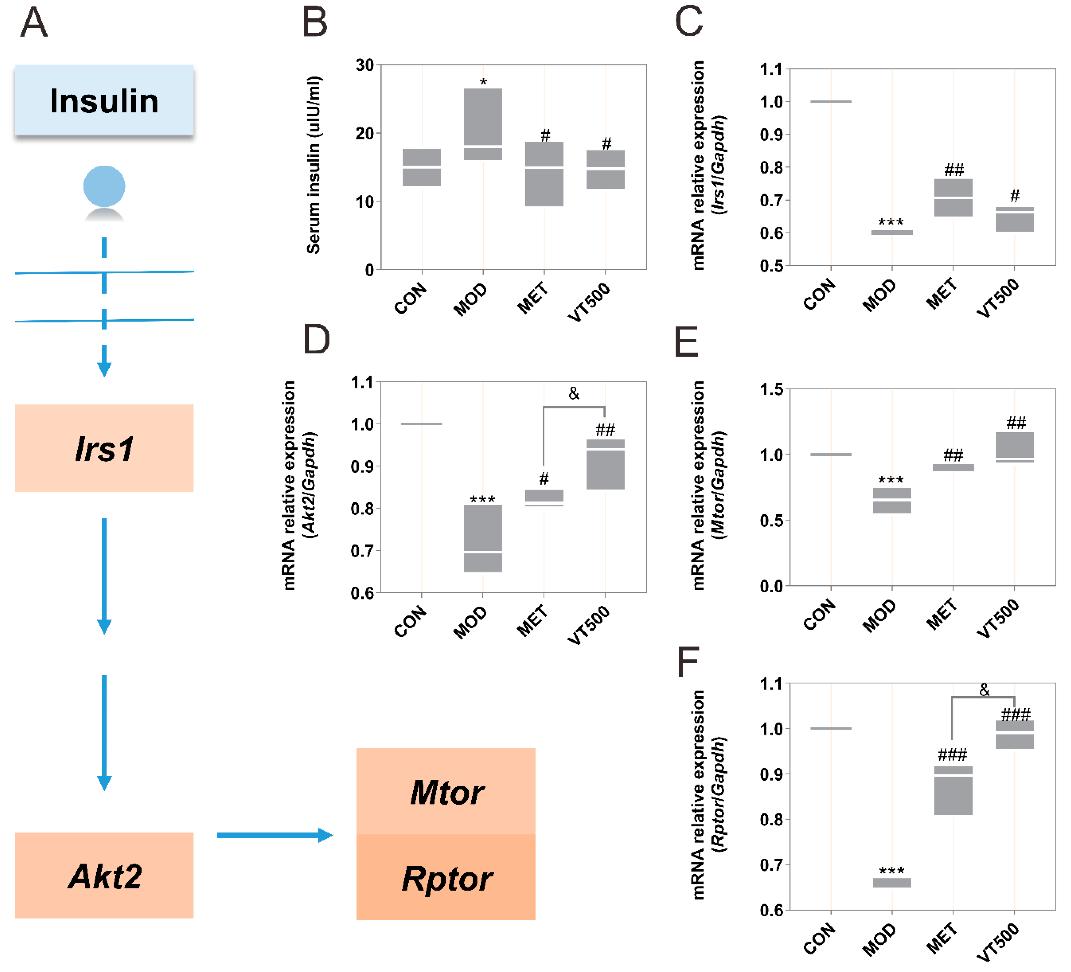 Molecules 24 01866 g005 Molecules 24 01866 g005