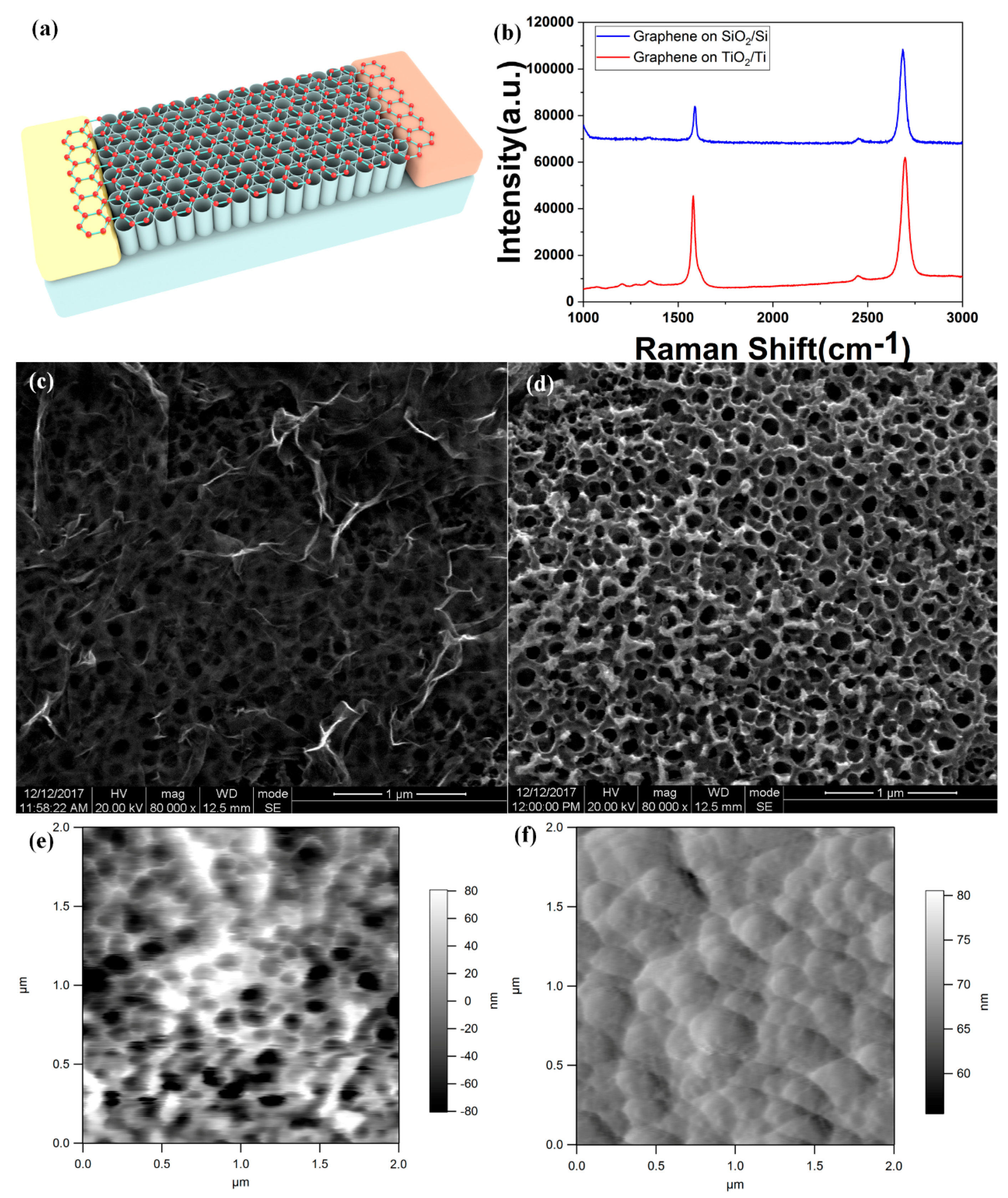 Molecules 24 01870 g001