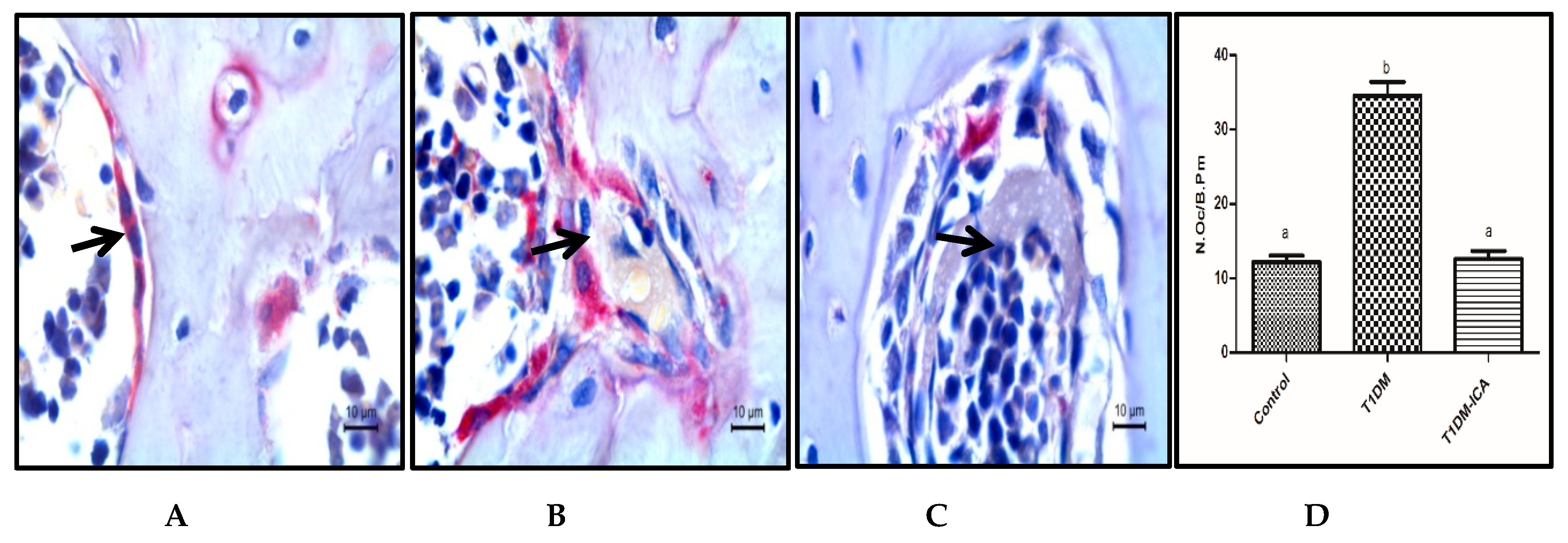 Molecules 24 01871 g005 Molecules 24 01871 g005