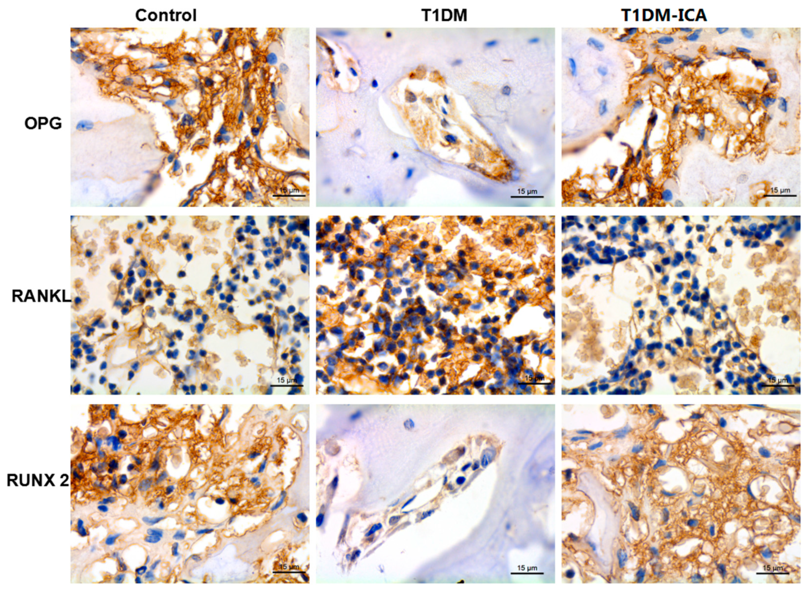 Molecules 24 01871 g008 Molecules 24 01871 g008