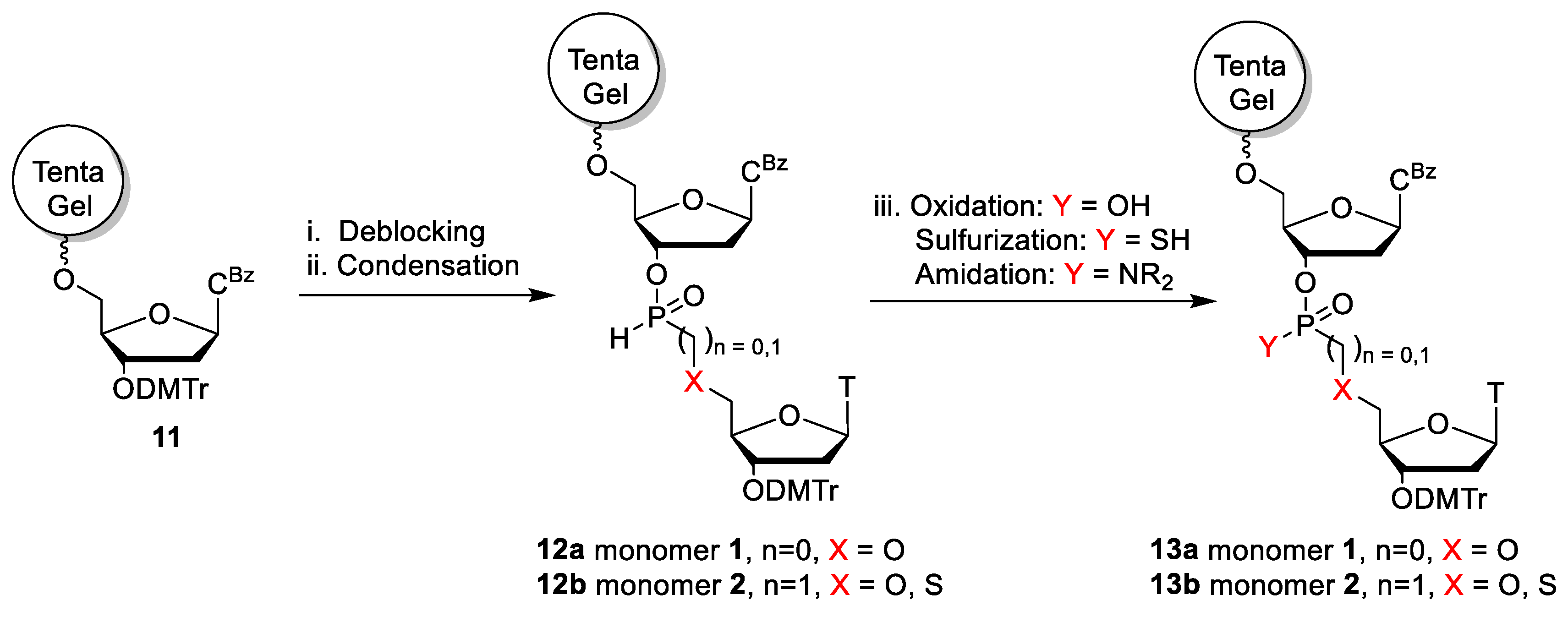 Molecules 24 01872 sch001 Molecules 24 01872 sch001
