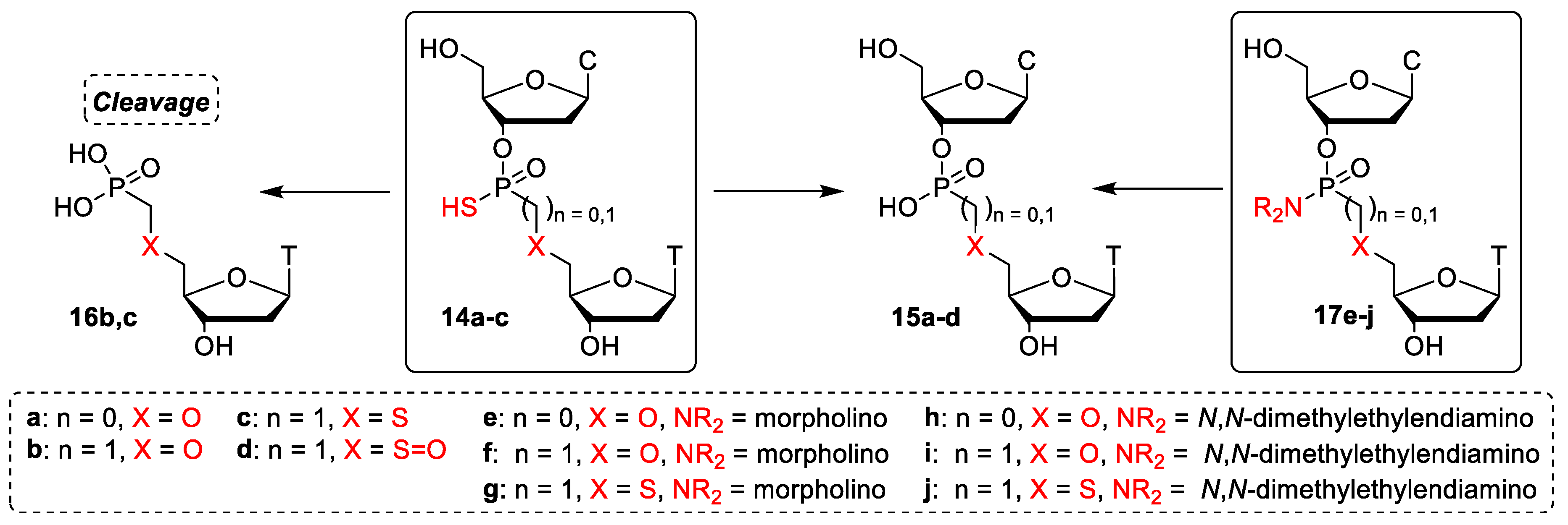 Molecules 24 01872 sch002 Molecules 24 01872 sch002