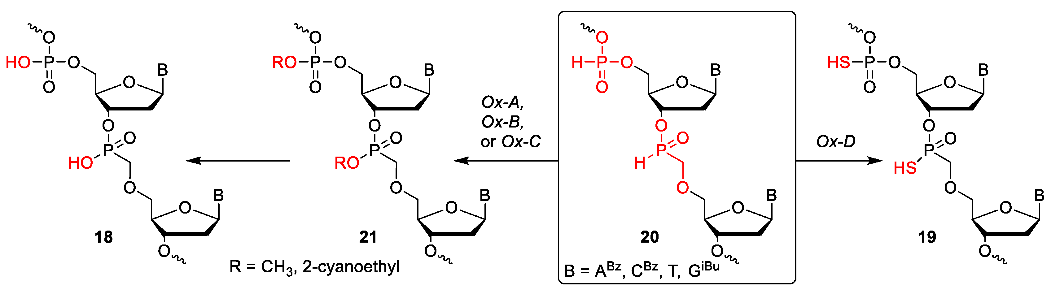 Molecules 24 01872 sch003 Molecules 24 01872 sch003