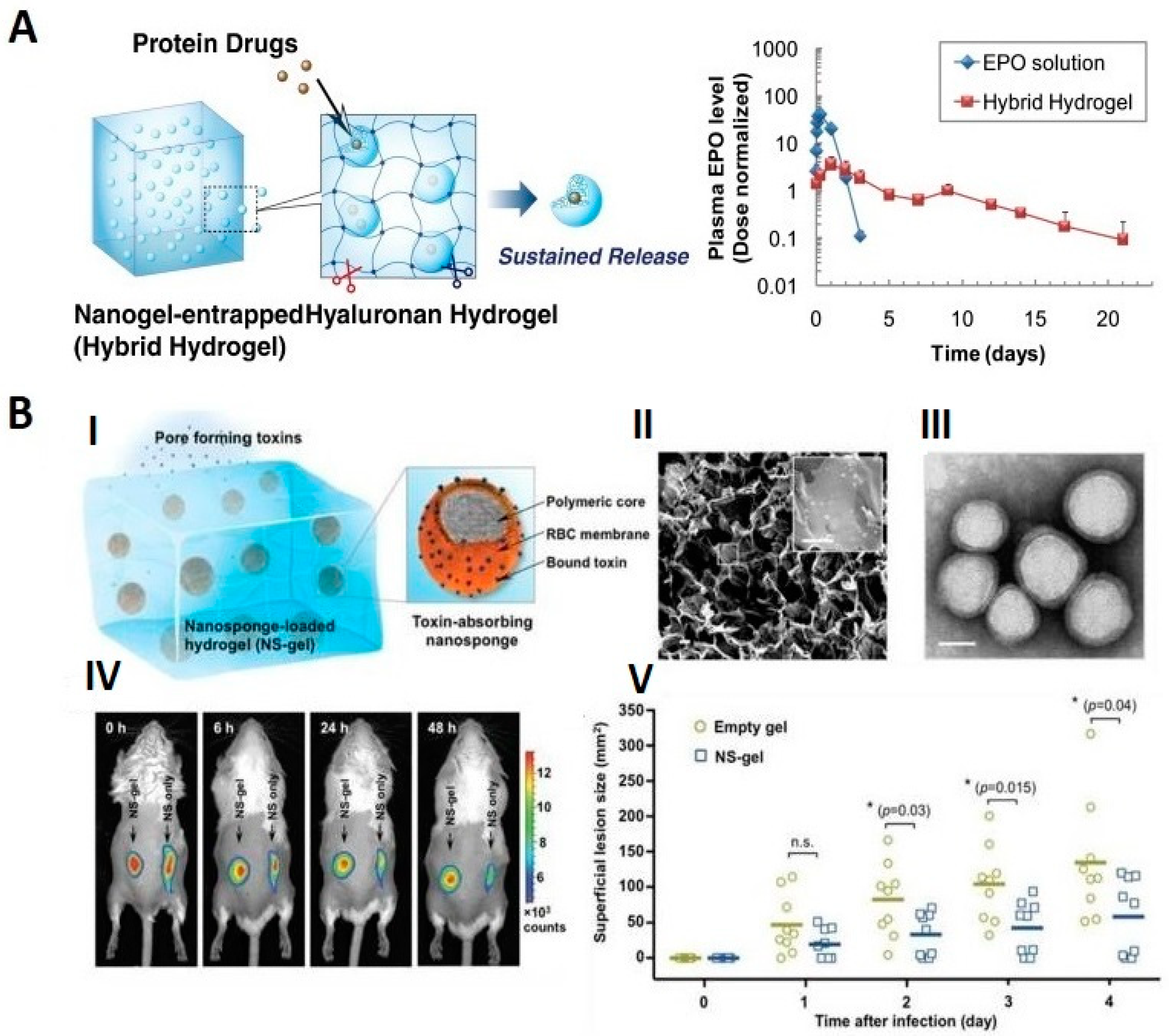 Molecules Free Full Text Recent Advances In Degradable Hybrids Of Biomolecules And Ngs For Targeted Delivery Html Molecules Free Full Text Recent Advances In Degradable Hybrids Of Biomolecules And Ngs For Targeted Delivery Html