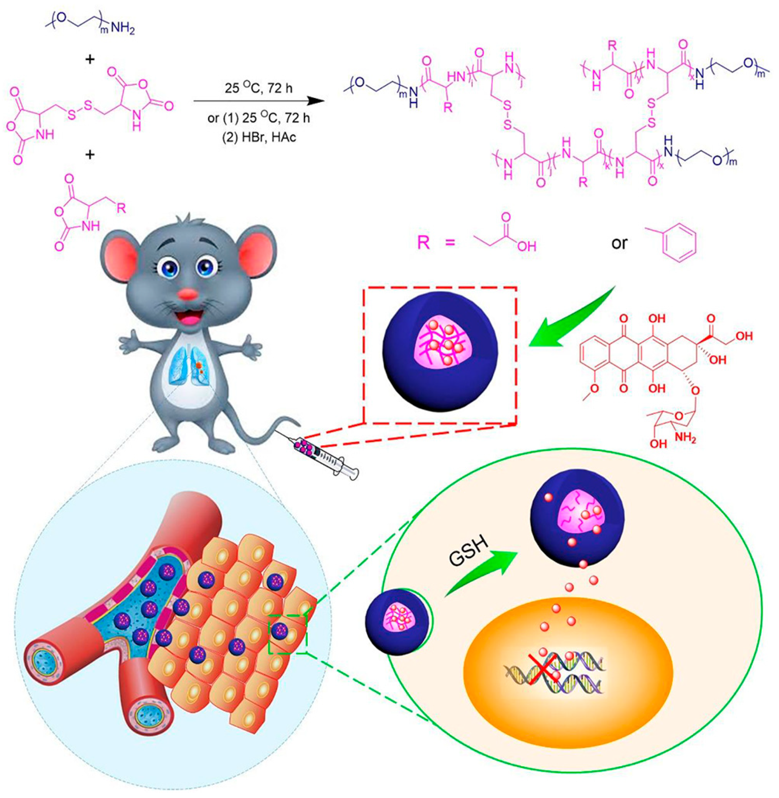 Molecules 24 01873 g007