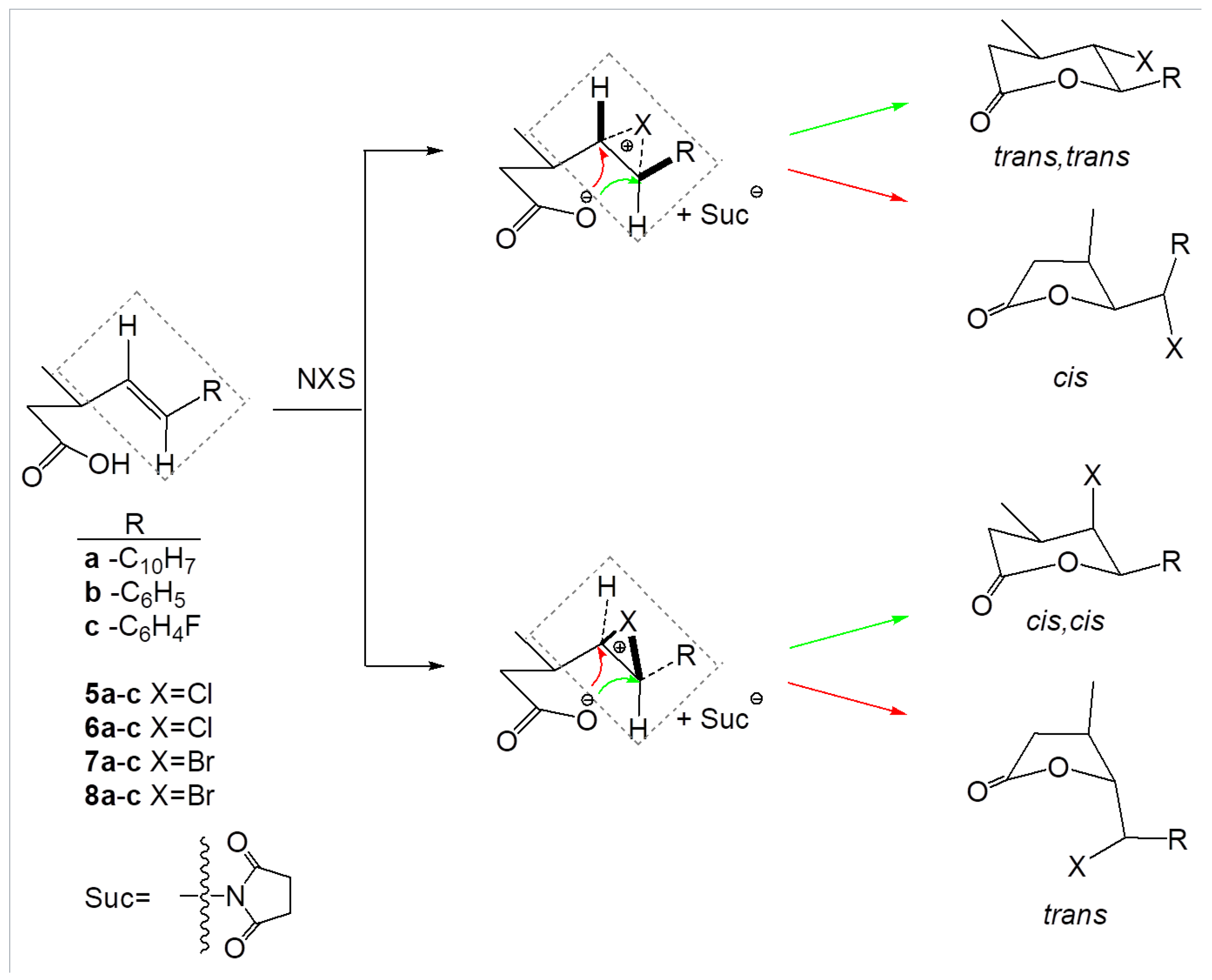 Molecules Free Full Text New G Halo D Lactones And D Hydroxy G Lactones With Strong Cytotoxic Activity Html