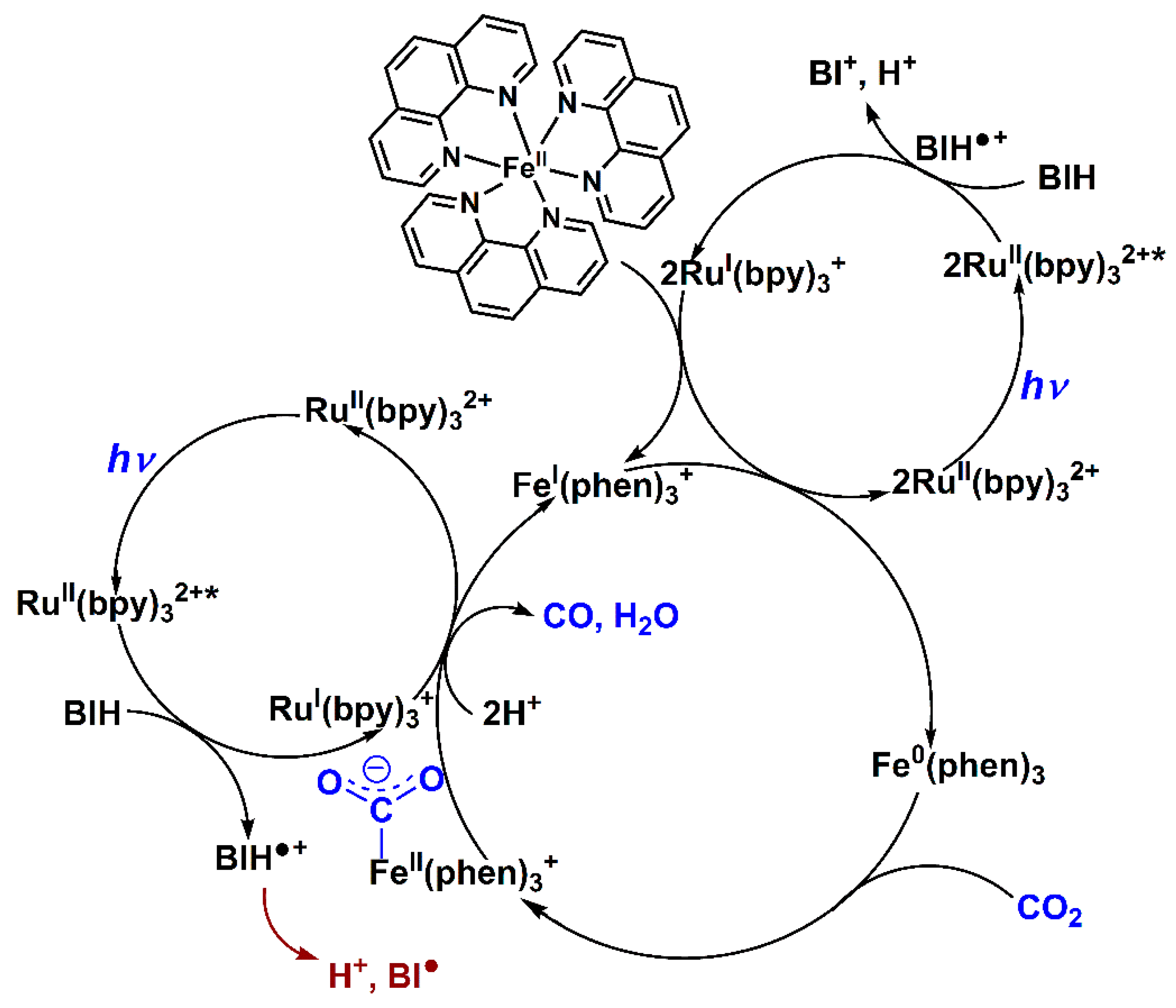 Molecules 24 01878 sch002 Molecules 24 01878 sch002
