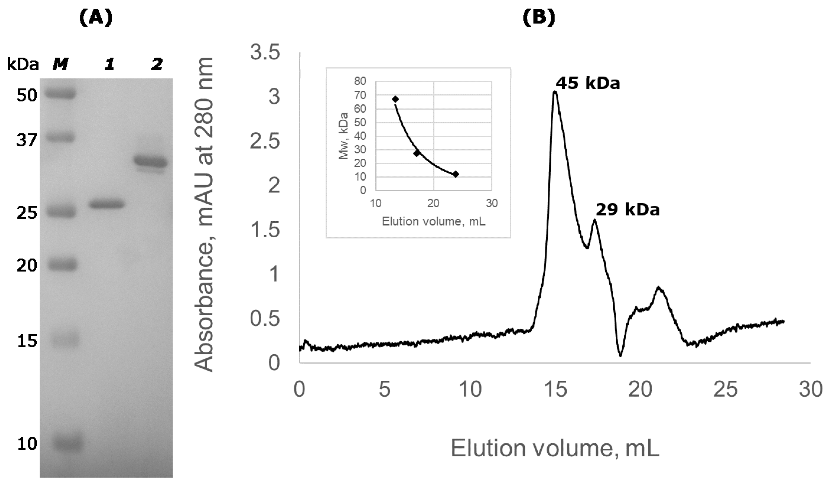 Molecules 24 01879 g002