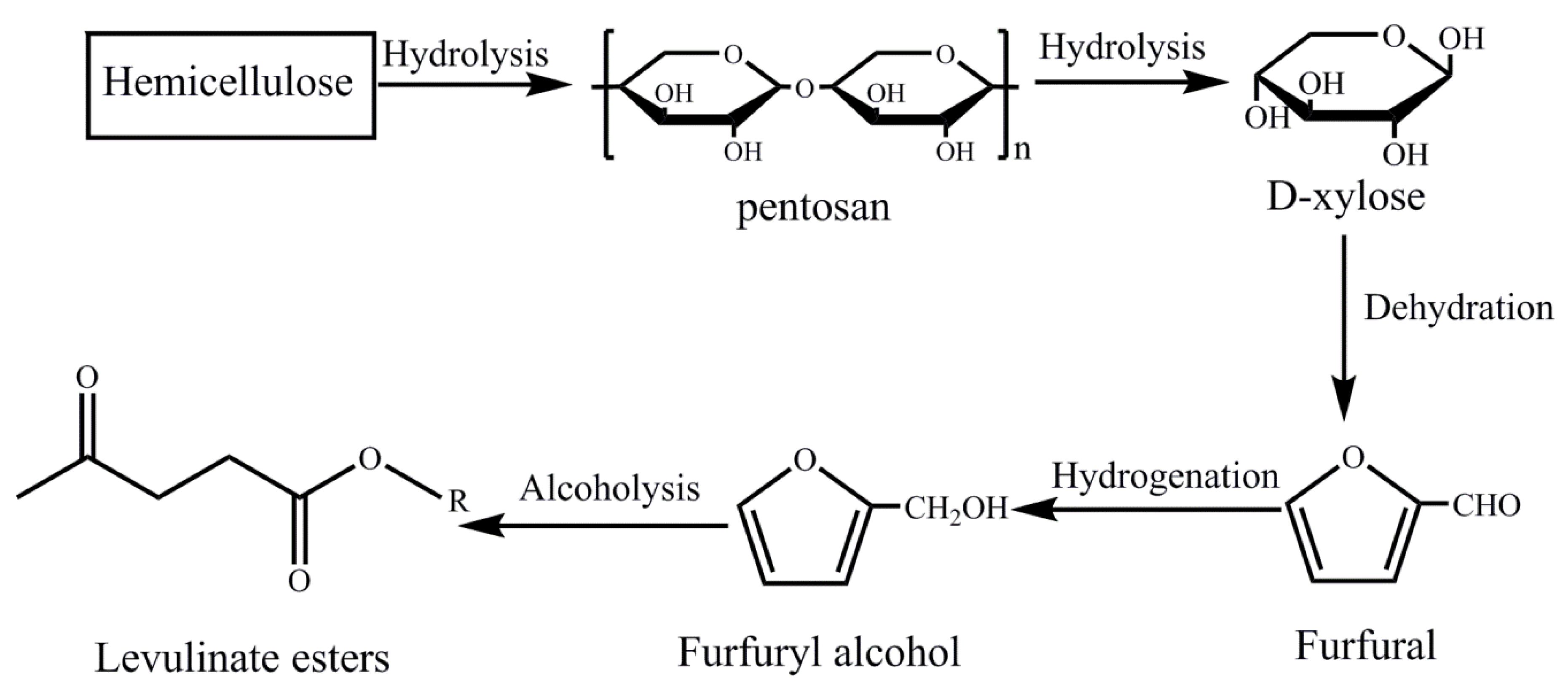 Molecules 24 01881 sch001