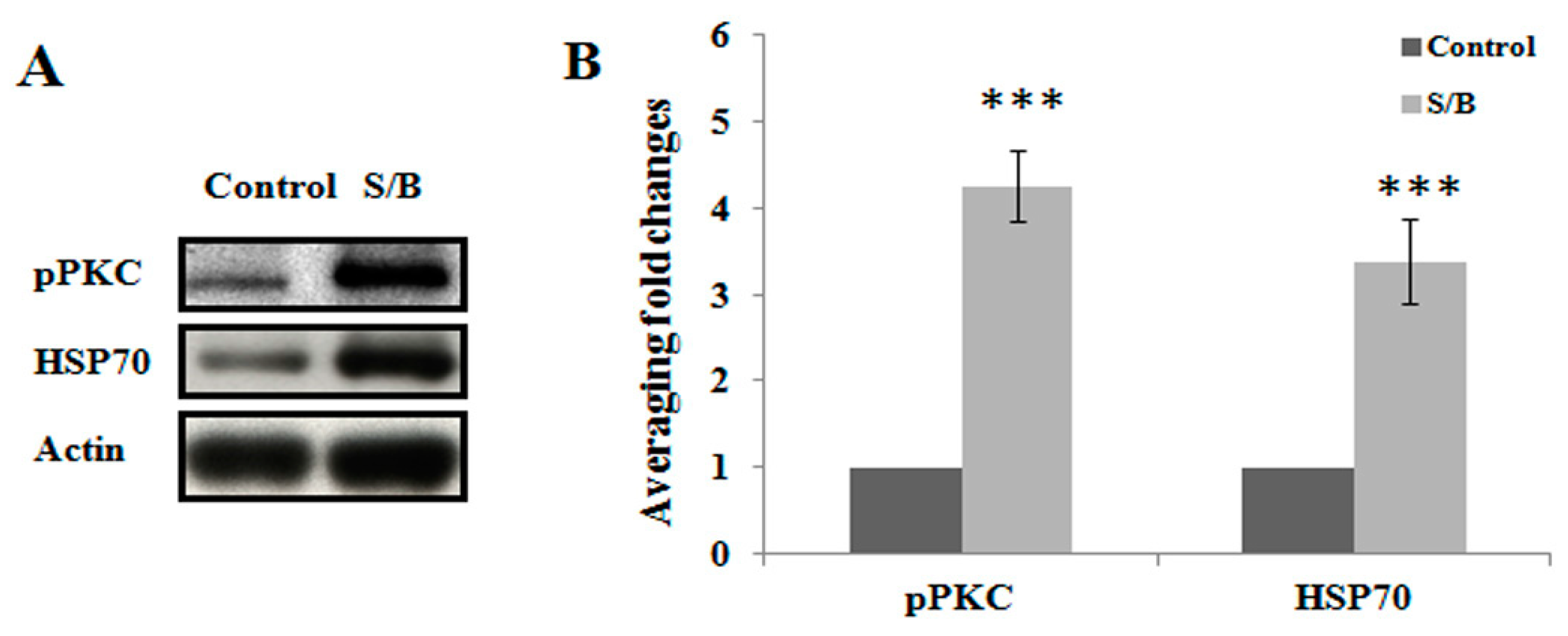 Molecules 24 01885 g003 Molecules 24 01885 g003