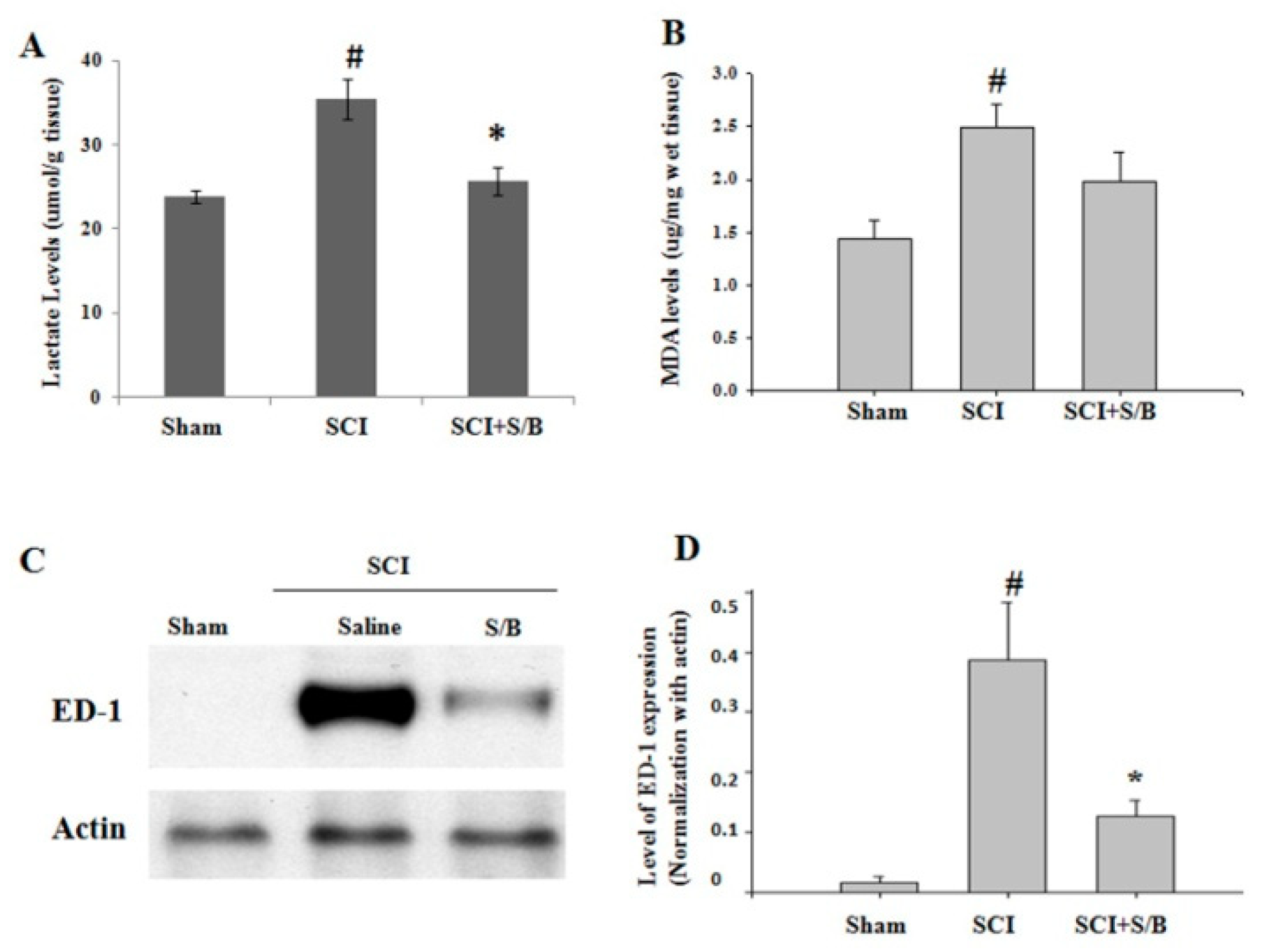Molecules 24 01885 g005 Molecules 24 01885 g005