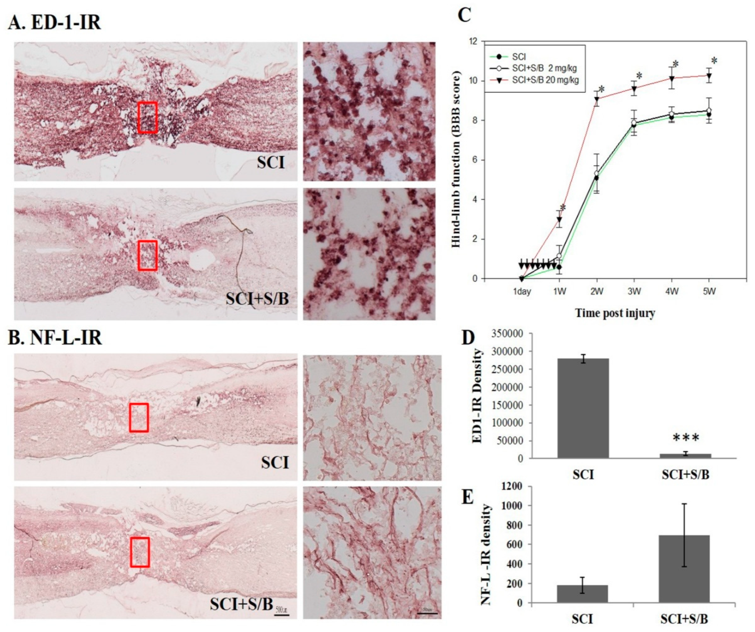Molecules 24 01885 g006 Molecules 24 01885 g006