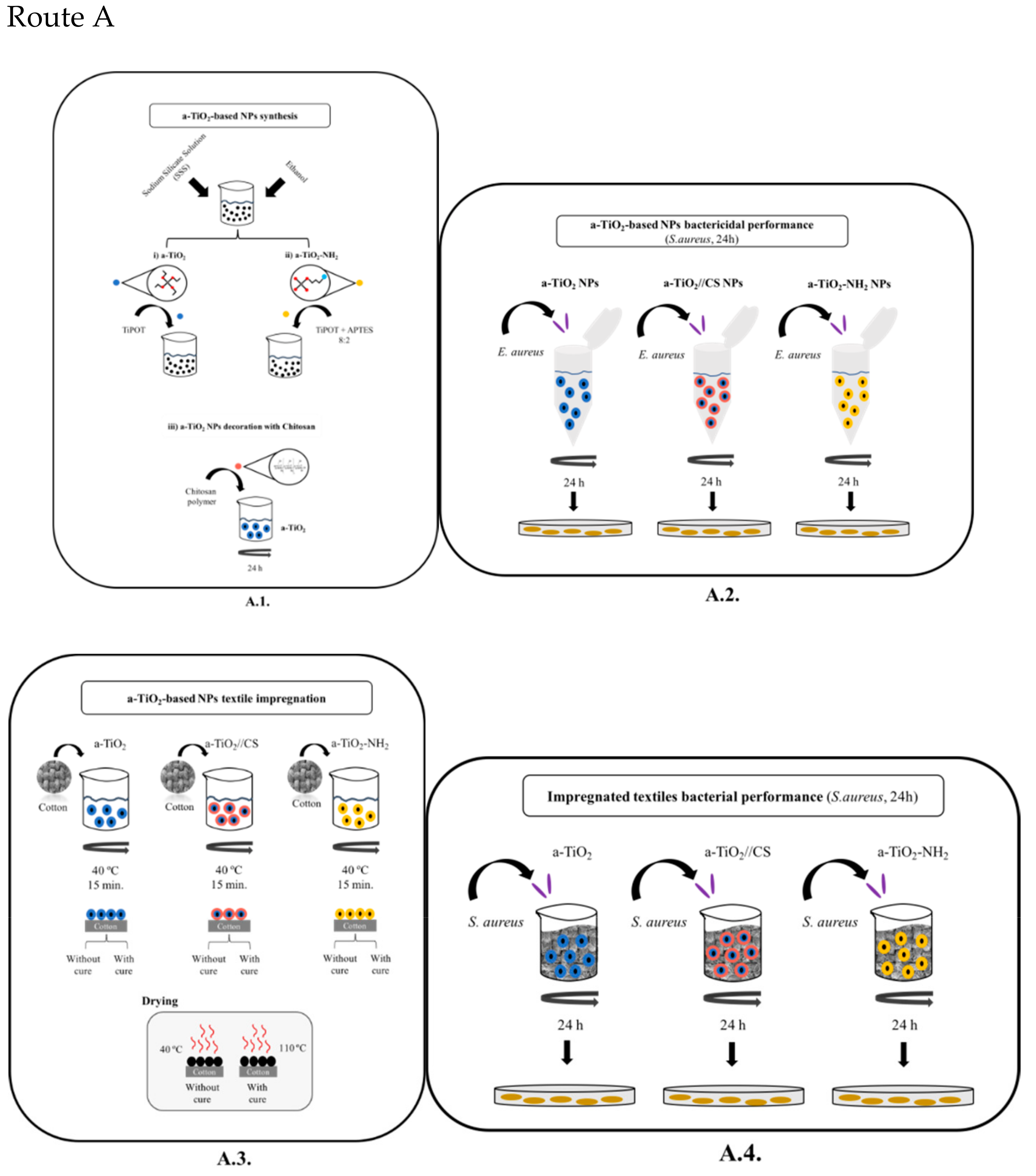 Molecules 24 01891 g002a