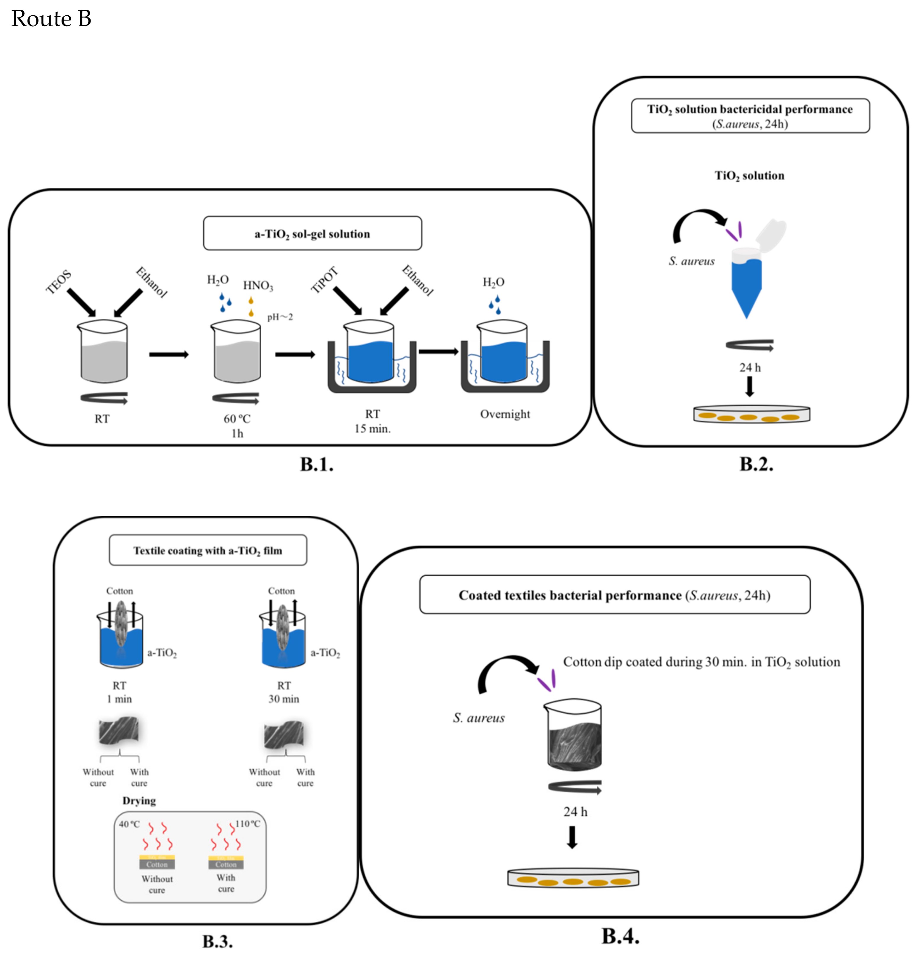 Molecules 24 01891 g002b