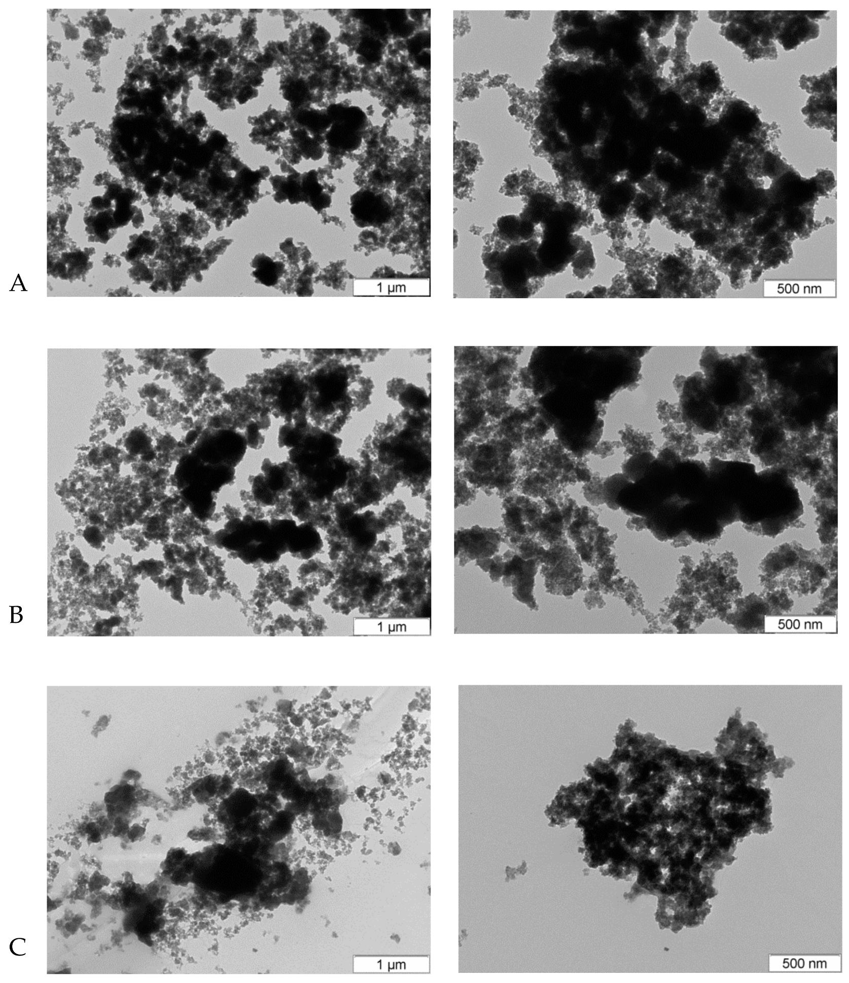 Molecules 24 01891 g003