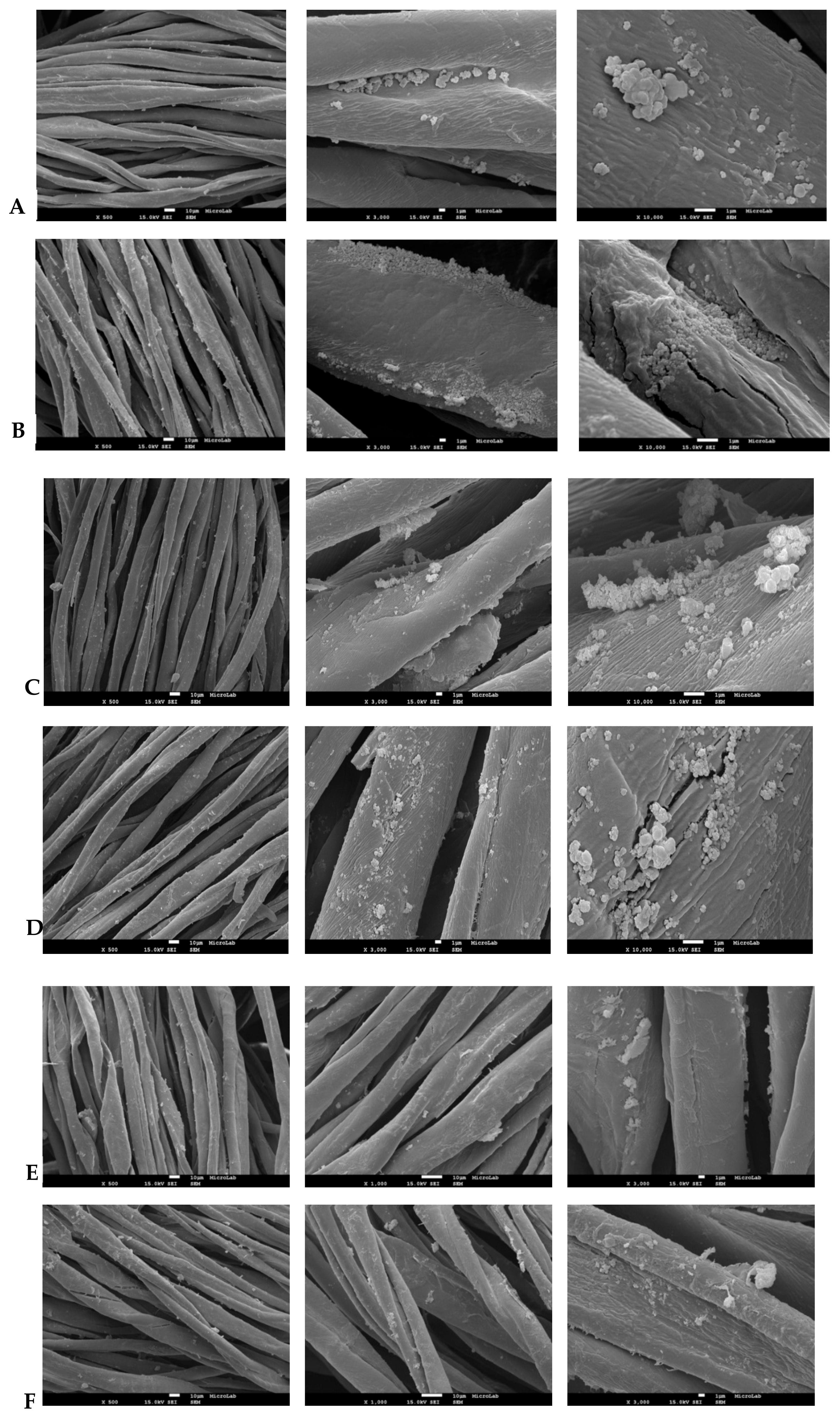 Molecules 24 01891 g006