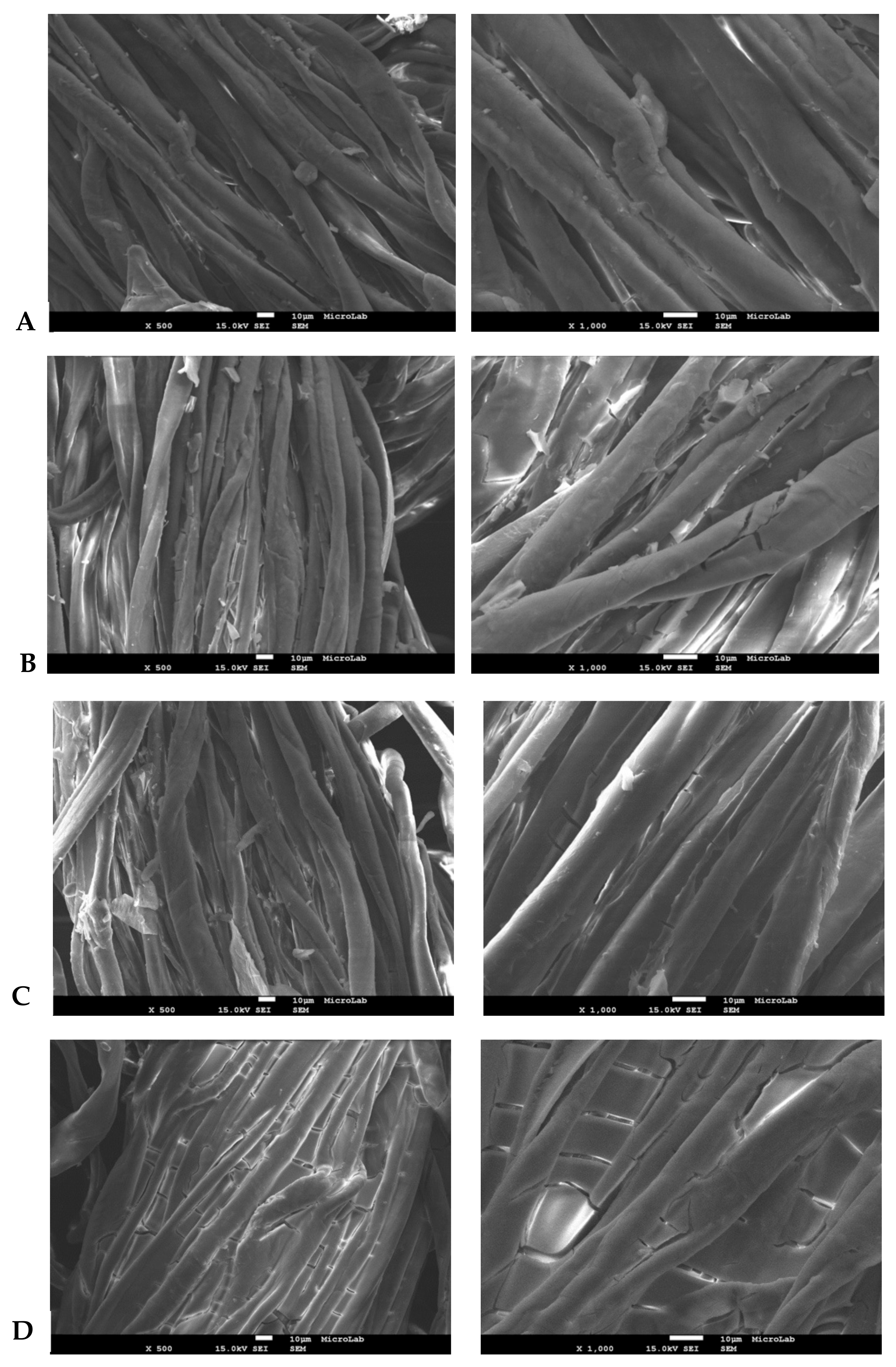 Molecules 24 01891 g007