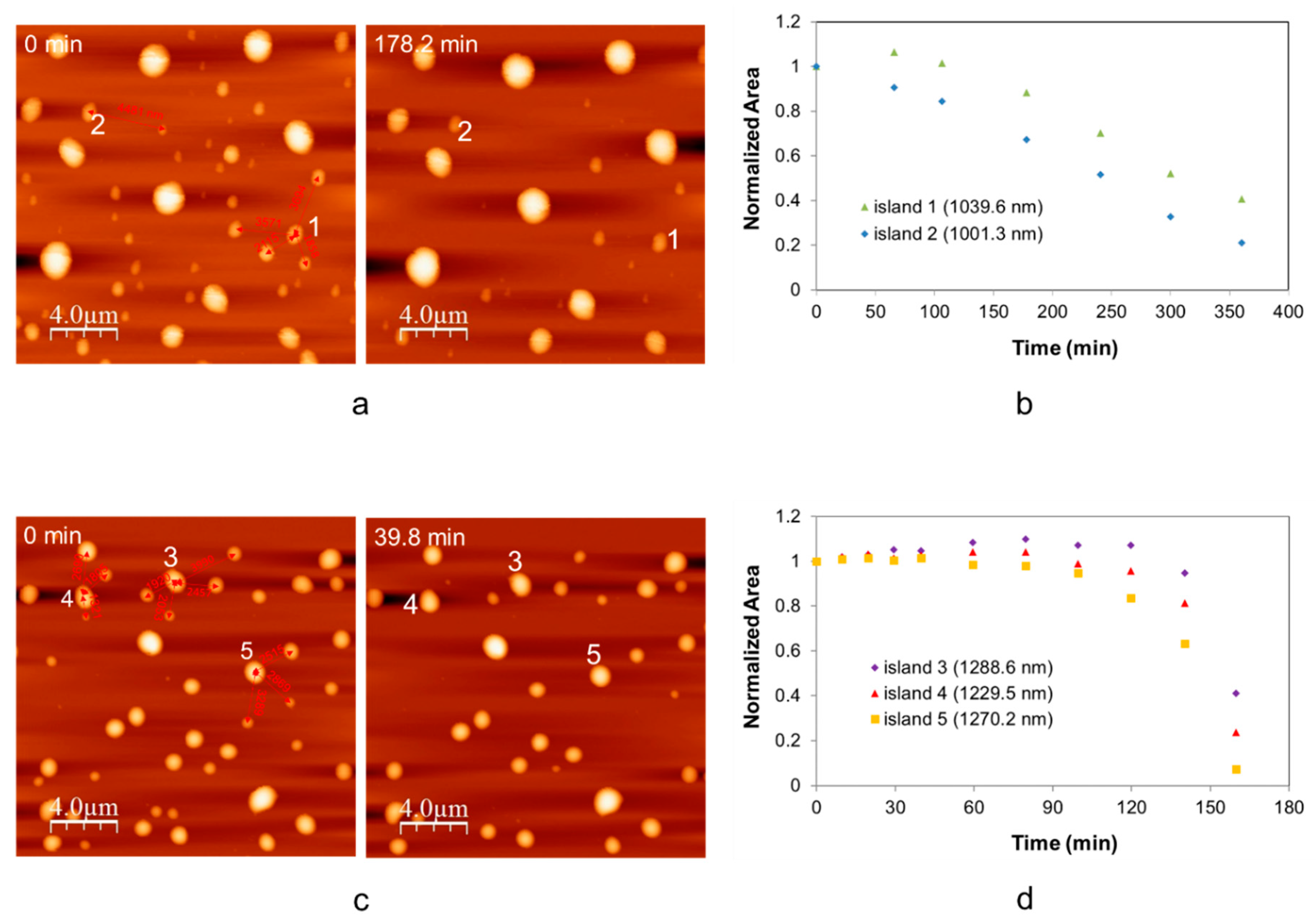 Molecules 24 01895 g003 Molecules 24 01895 g003