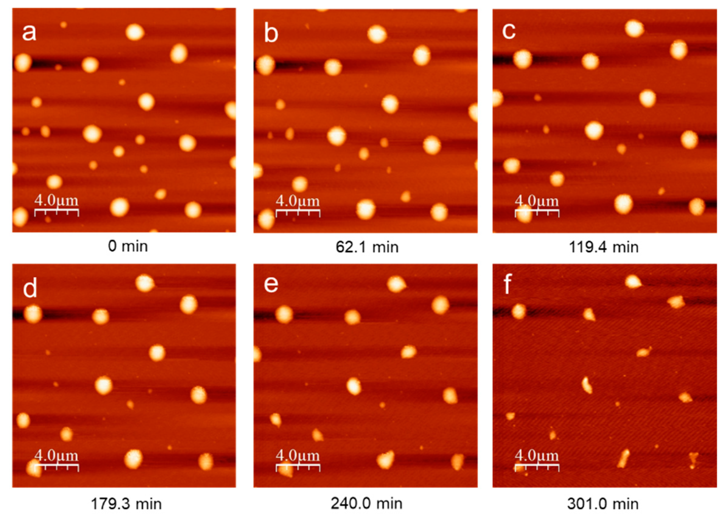 Molecules 24 01895 g005 Molecules 24 01895 g005