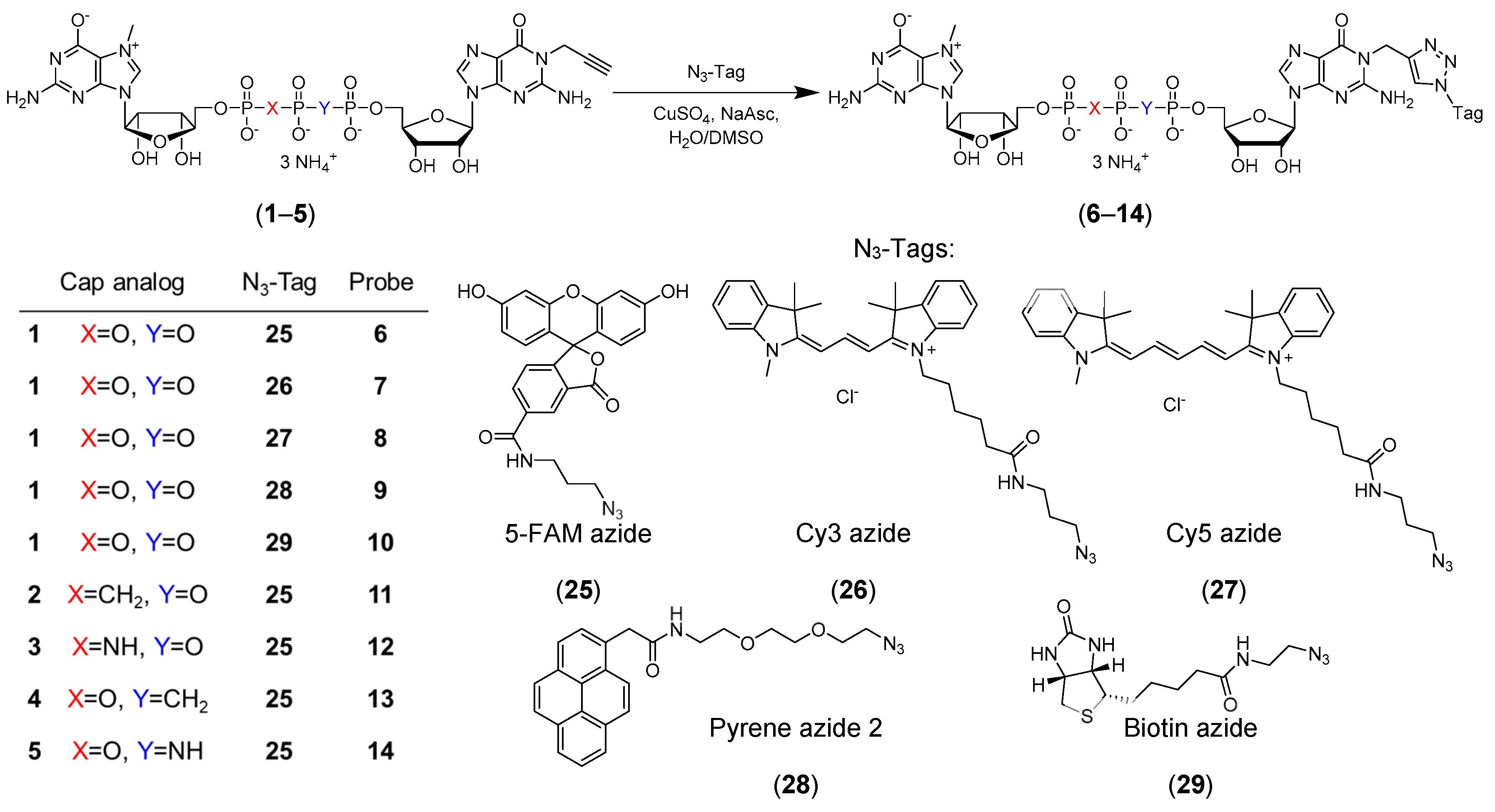 Molecules 24 01899 g001
