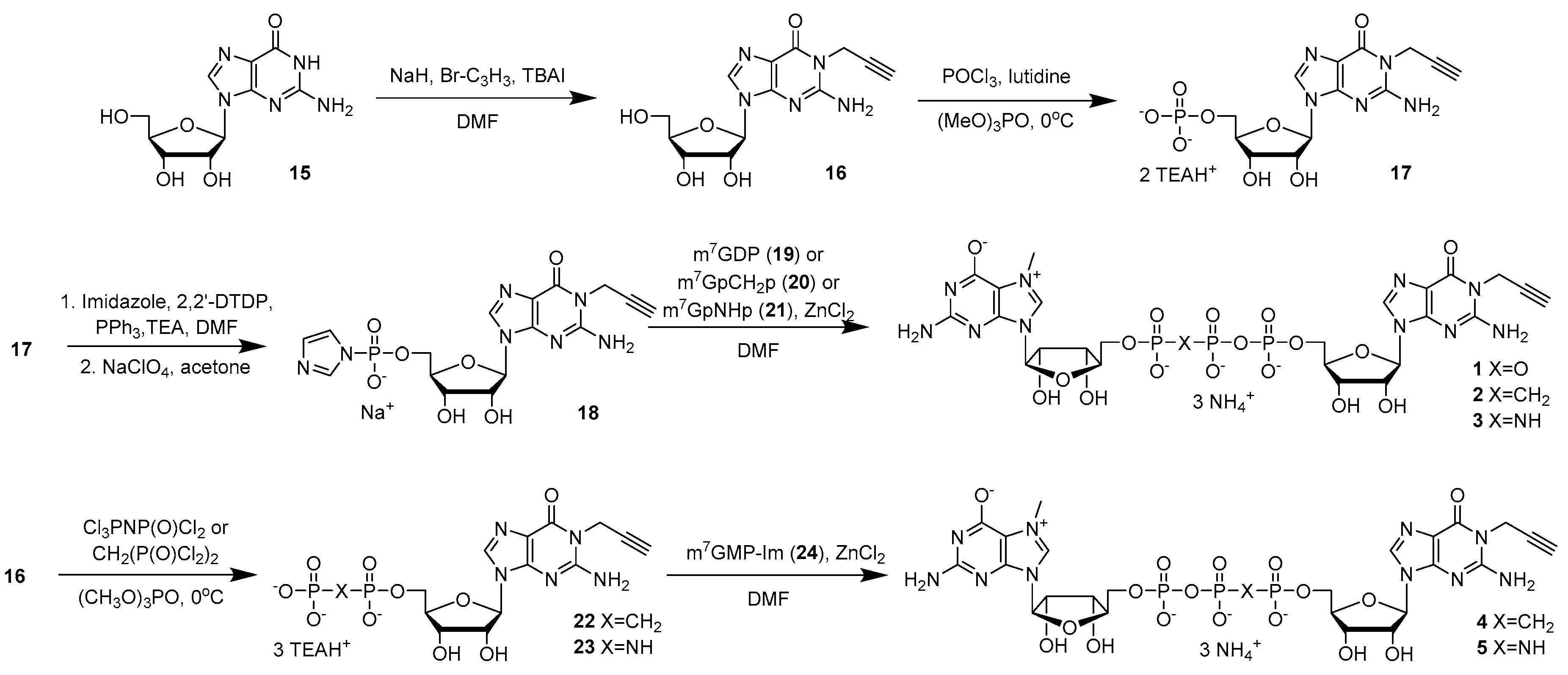 Molecules 24 01899 sch001