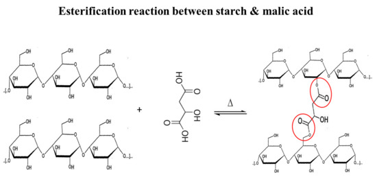 Molecules Free Full Text Structural Characteristics And In Vitro Digestibility Of Malic Acid Treated Corn Starch With Different Ph Conditions Html